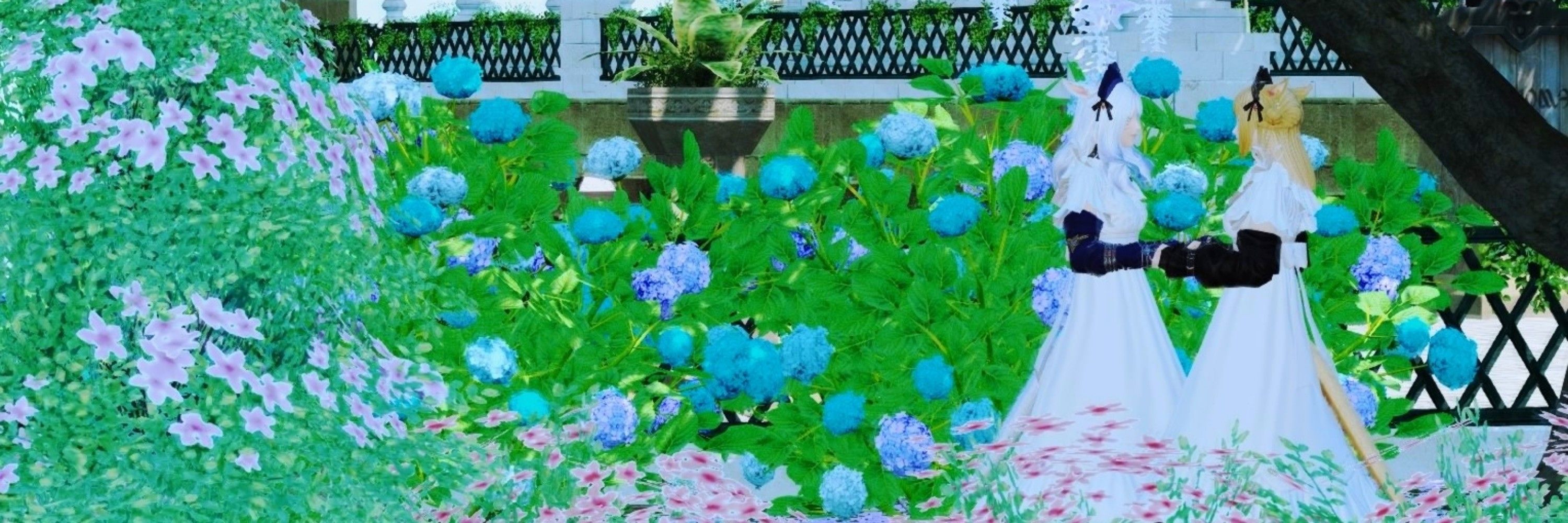 ひよ