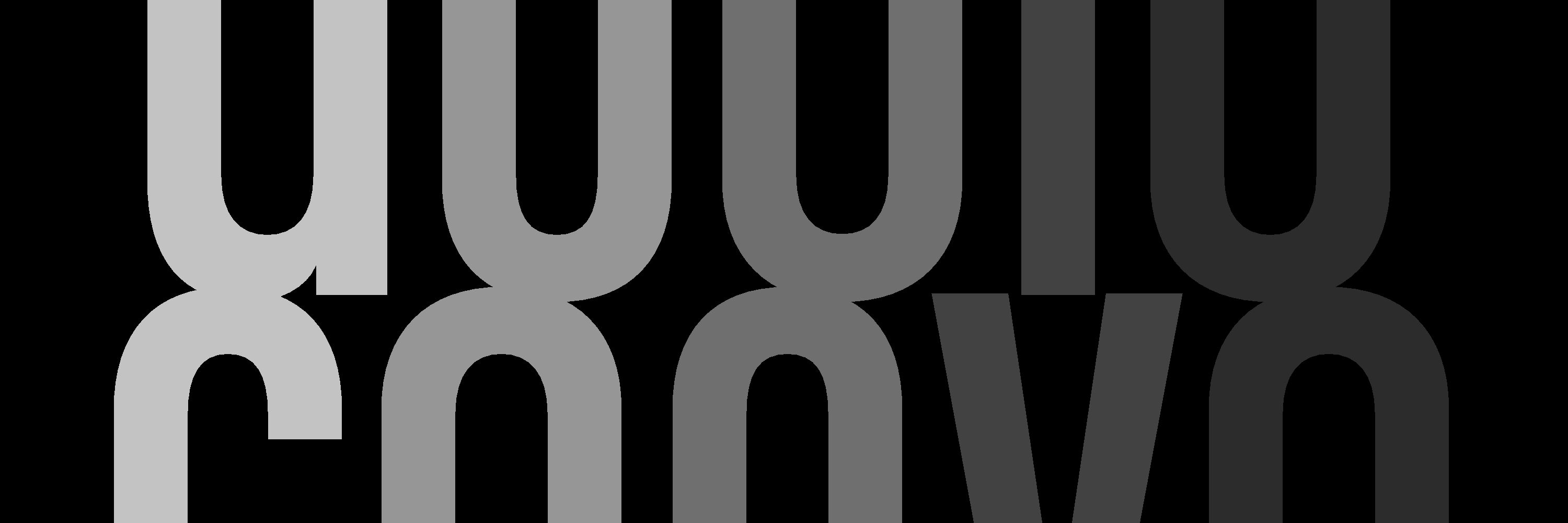 AudioConvo
