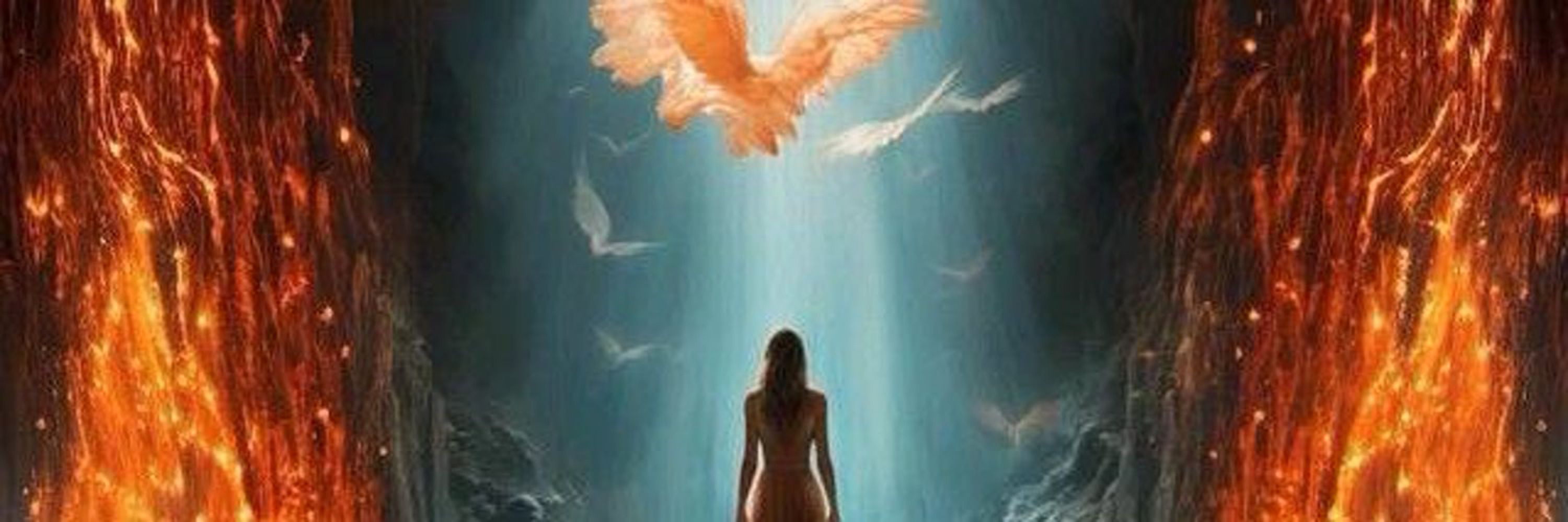 Musings of A Phoenix