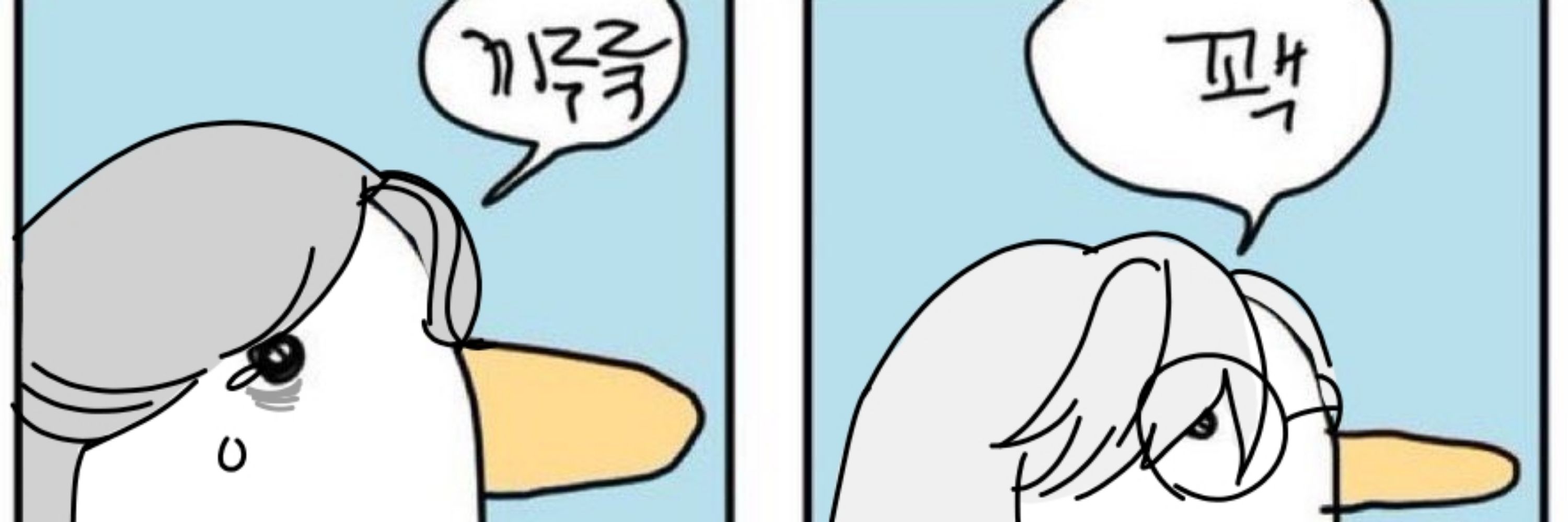 물병