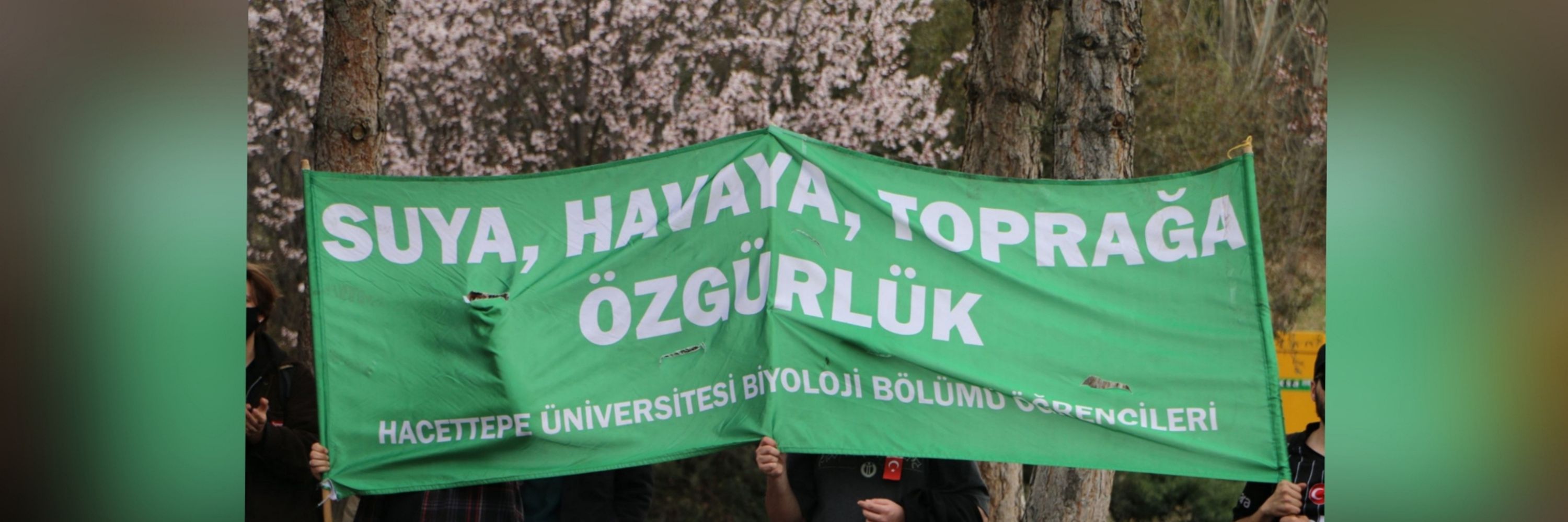 yüksel caddesindeki şarapçı