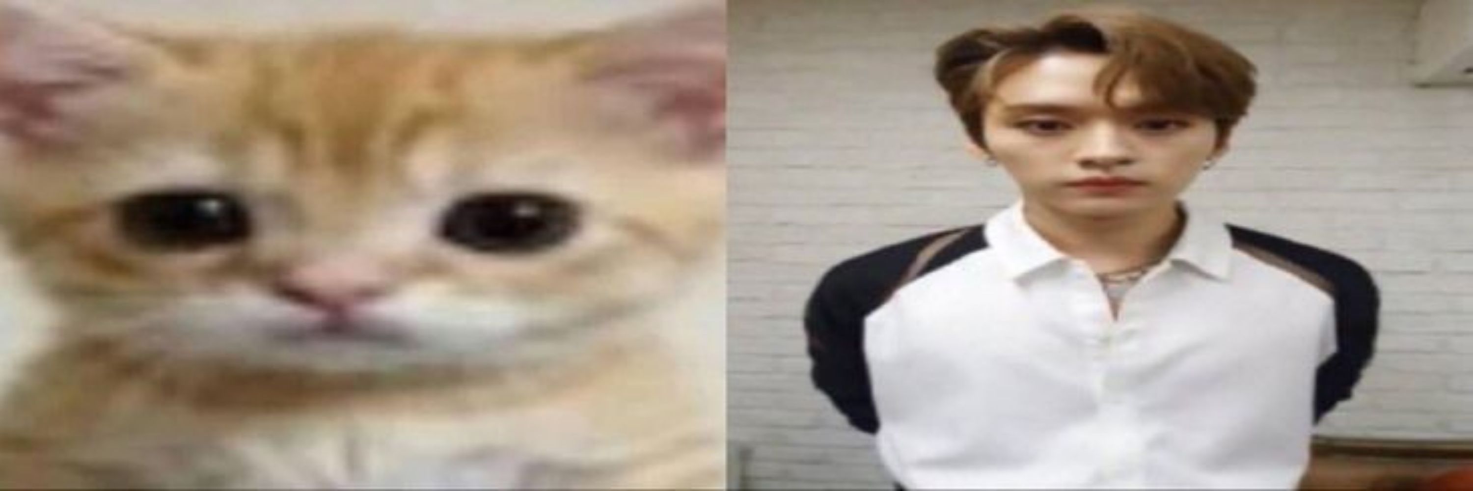 ale
