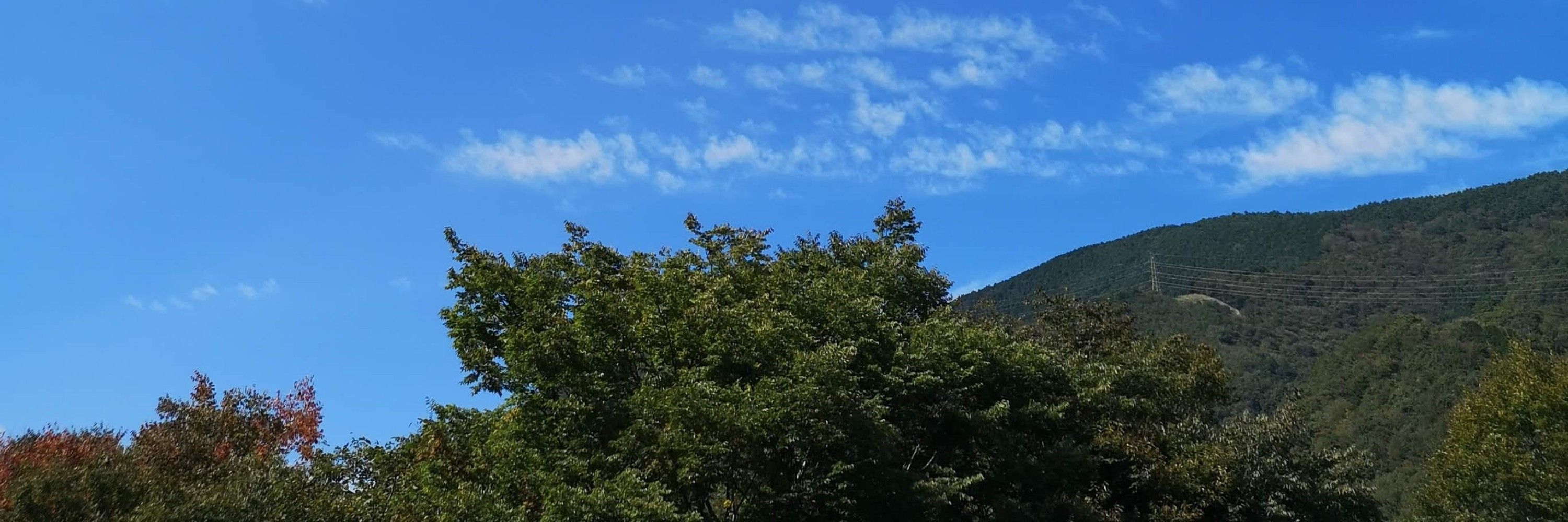 takasanpo🌱