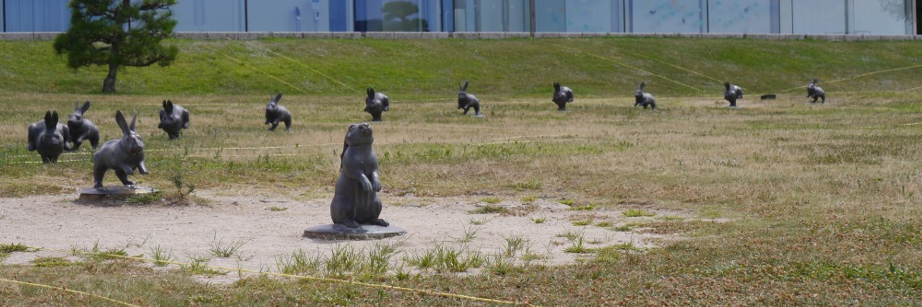 motsukun