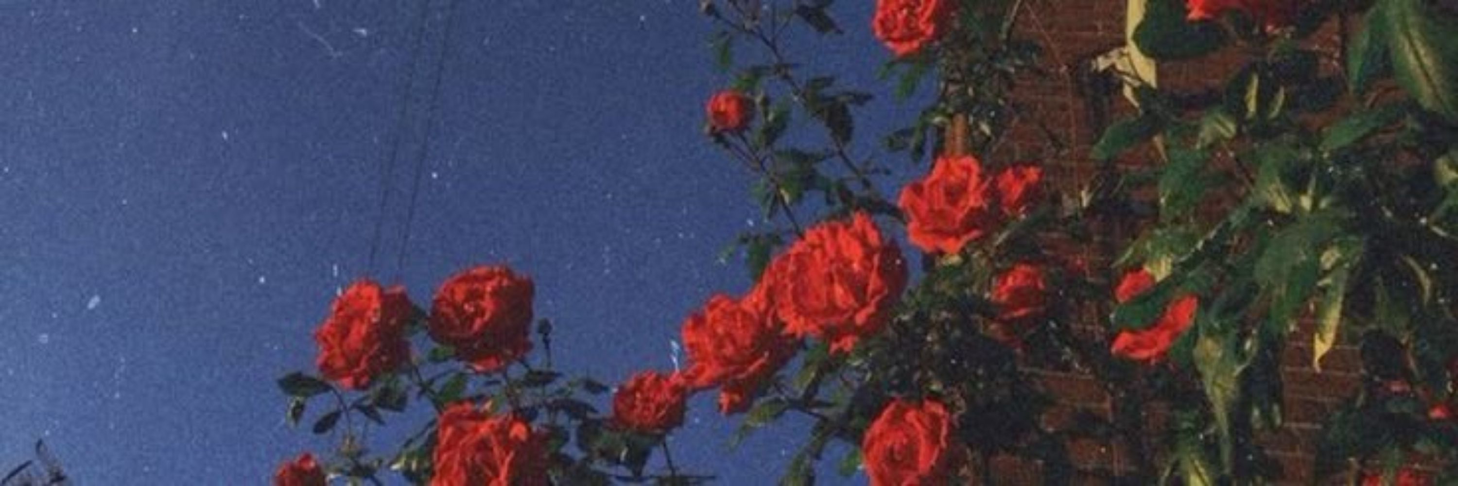 Moon 🌙