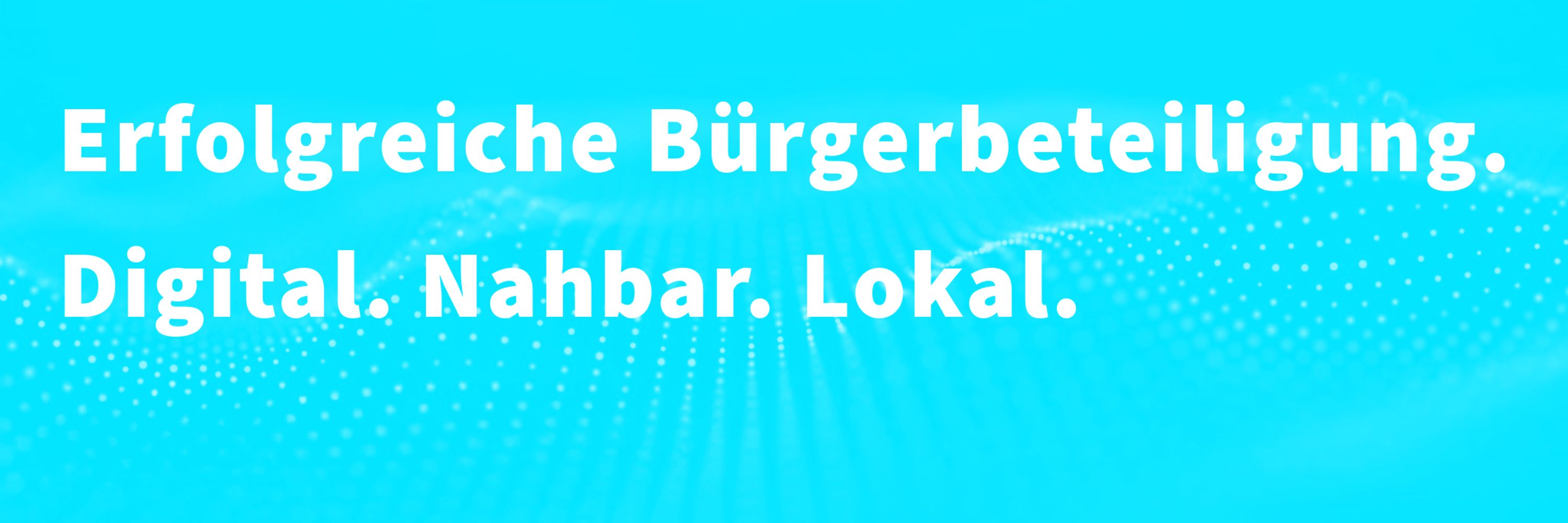 lokale-partizipation.de
