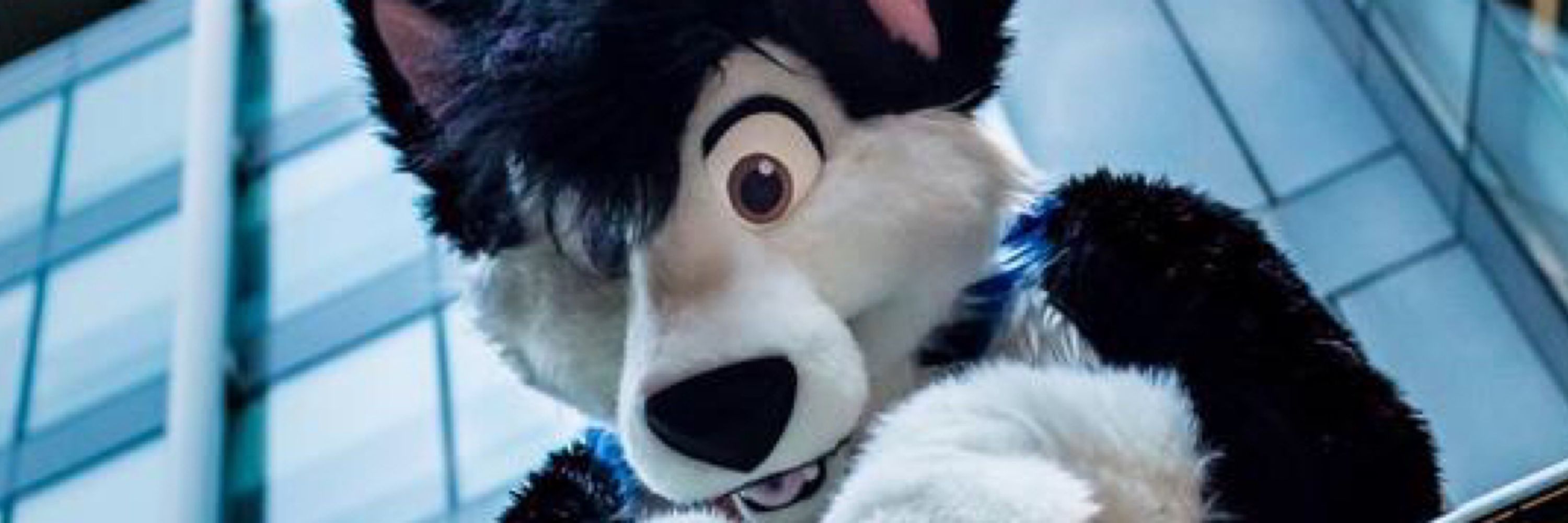 Dannywuff