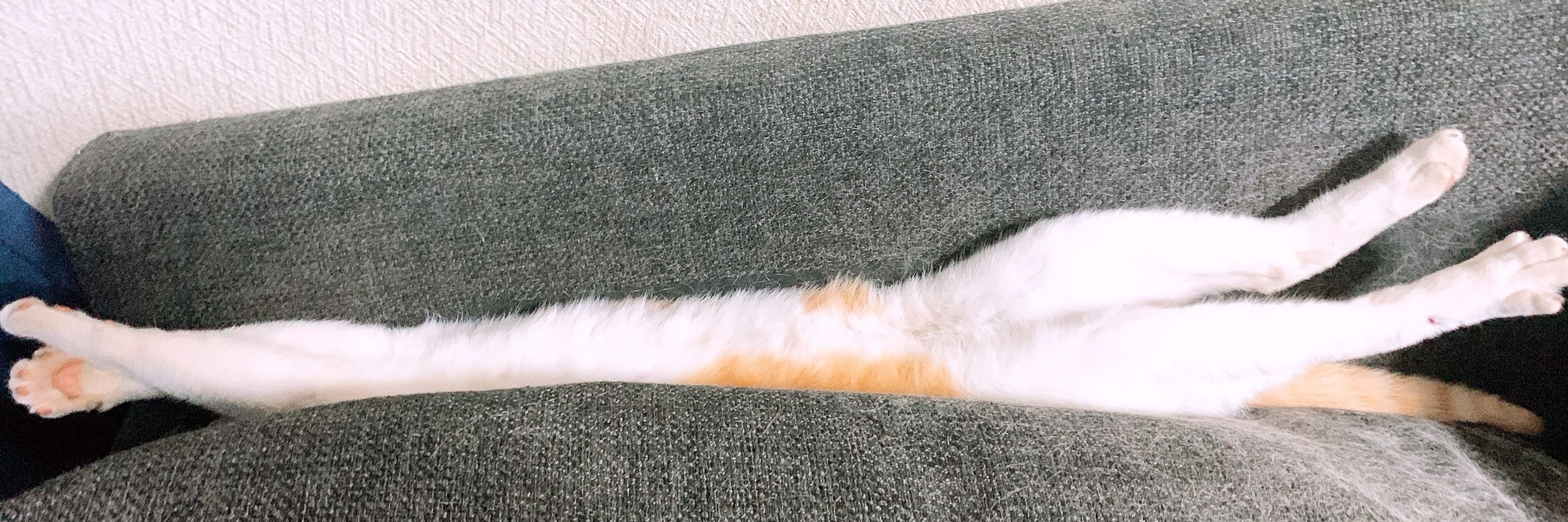 たきのみづ