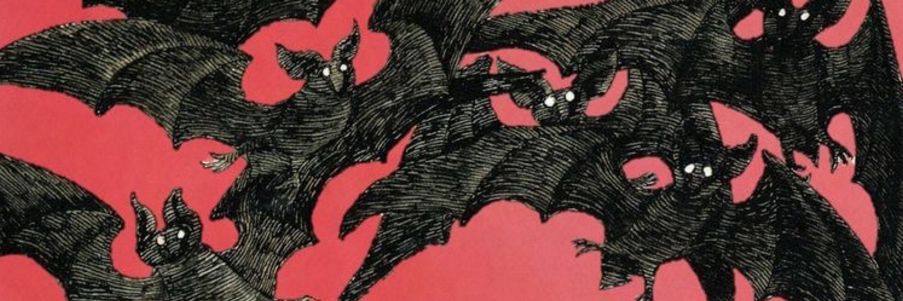 Alexander 🦇