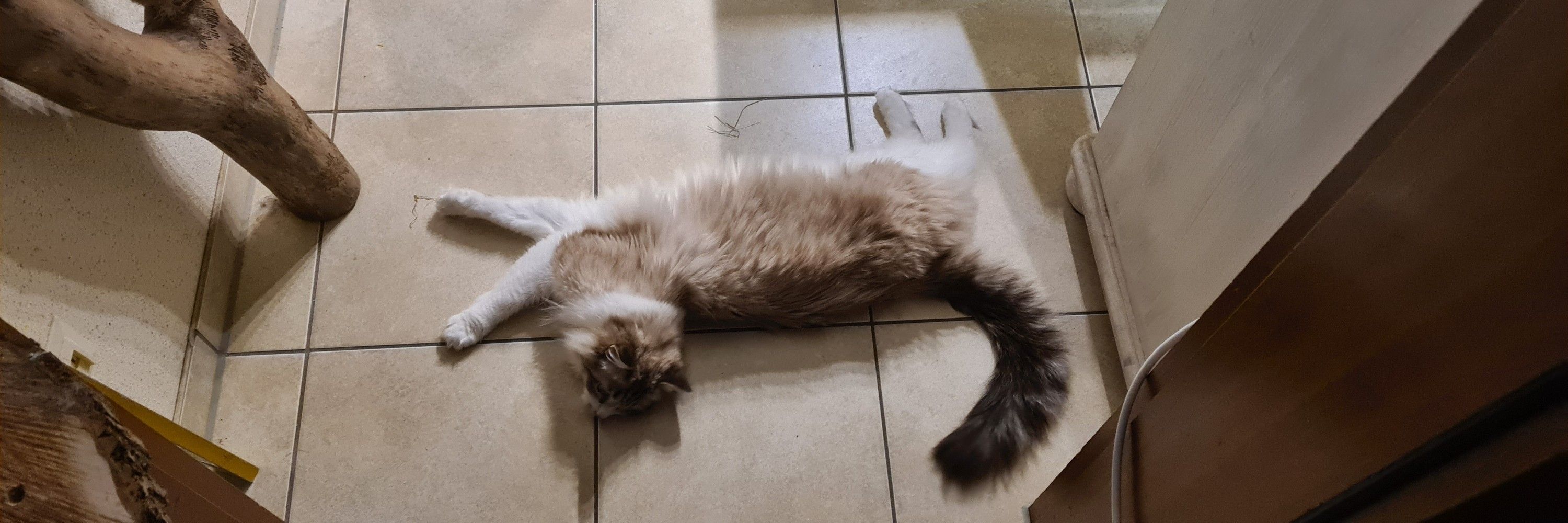 lena