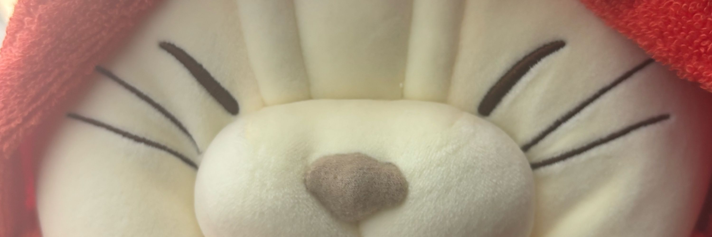 あんぷ