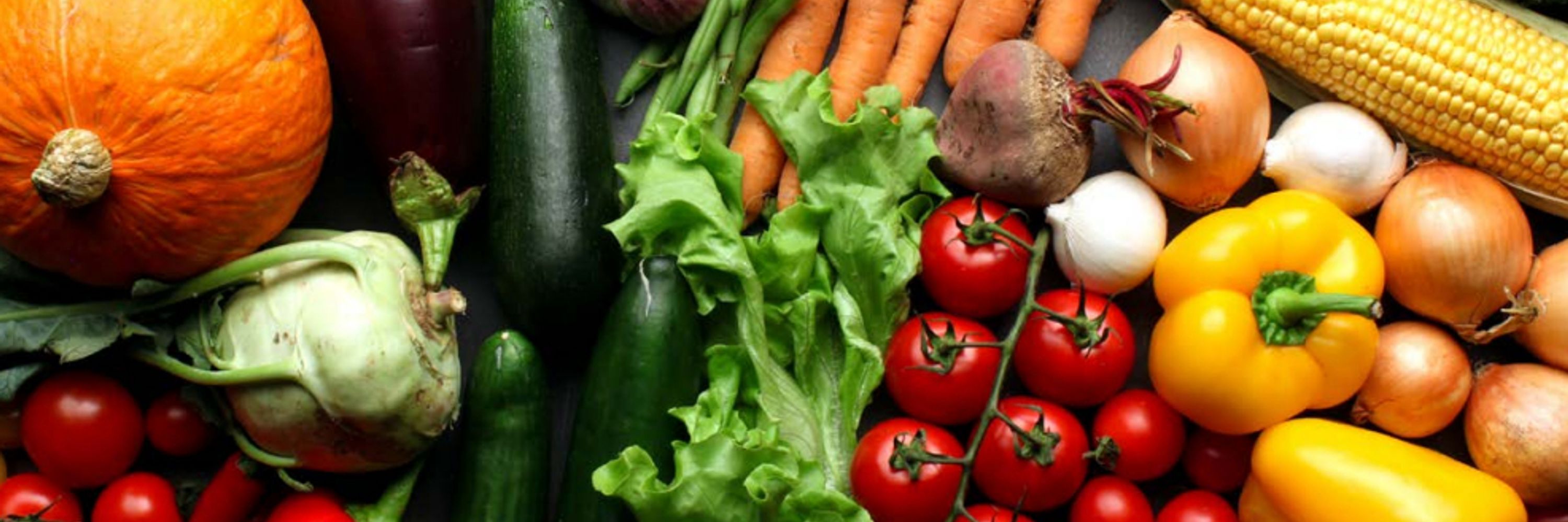 Bristol Food Network CIC