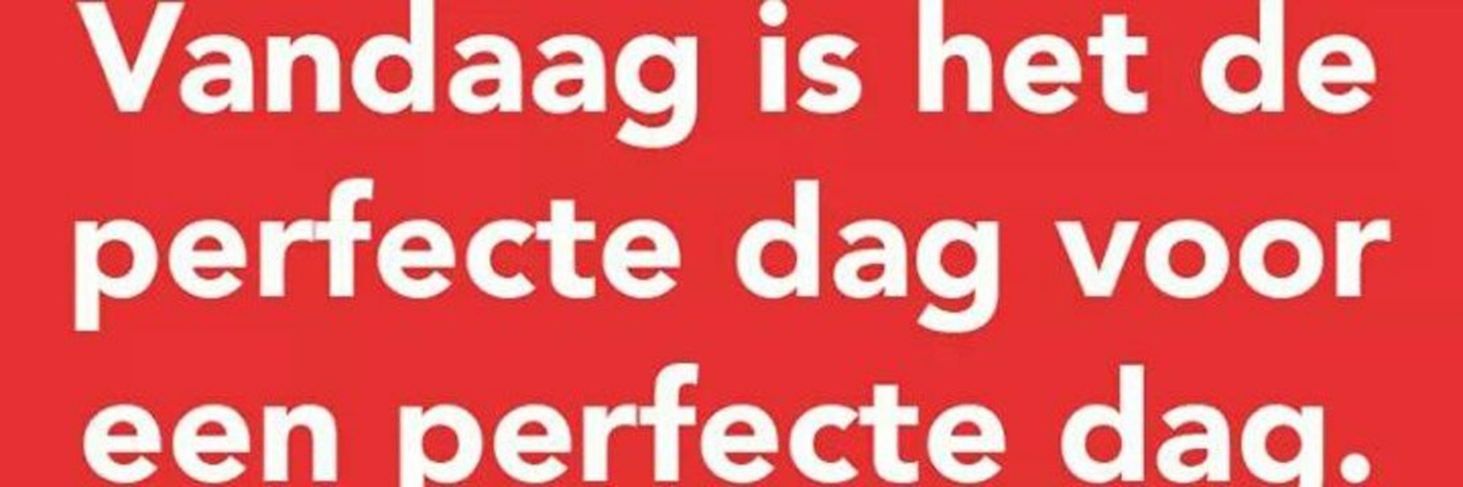 Stephanie_NL