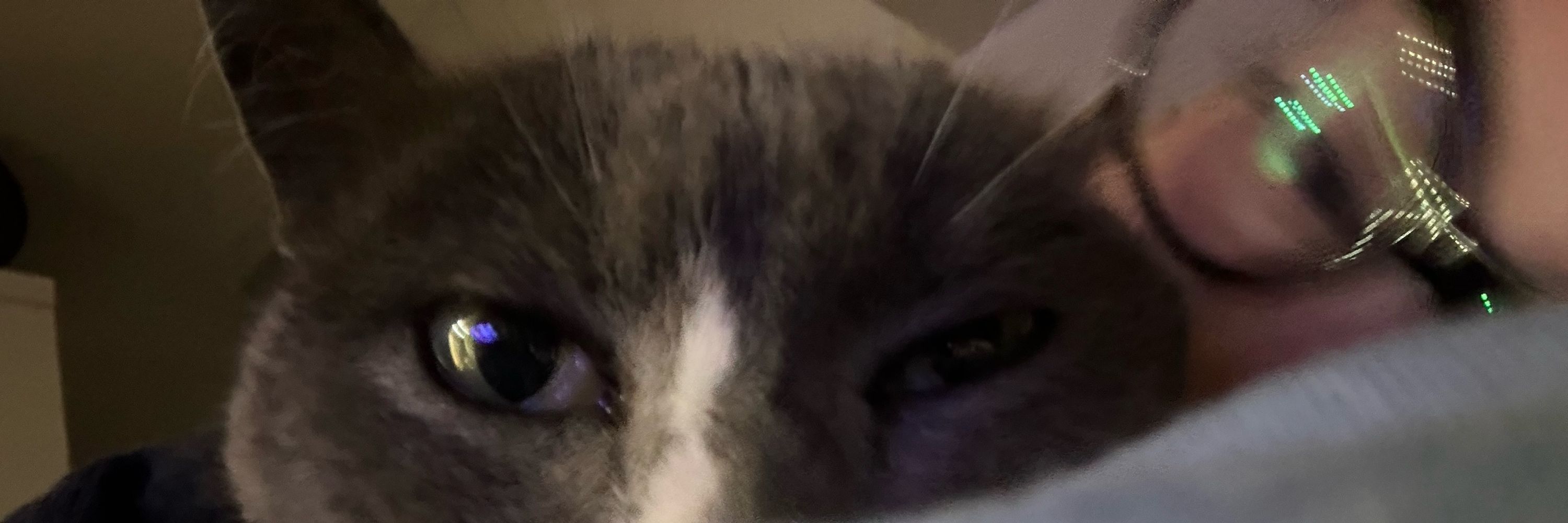 duuuuuu