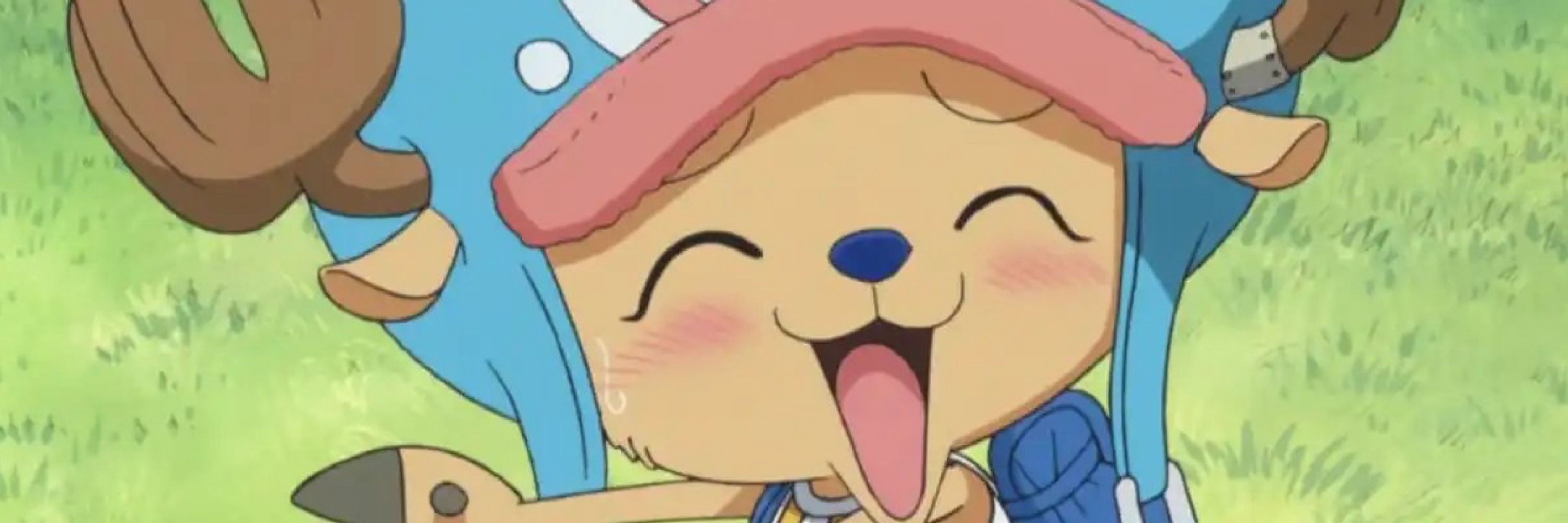 OmDolphinJ
