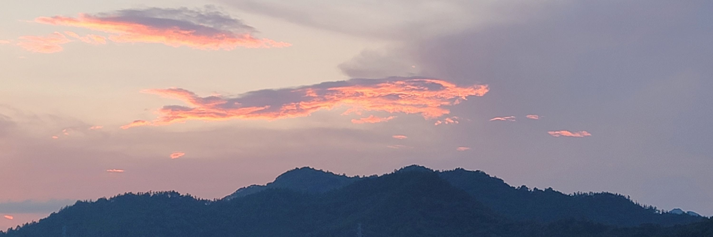 열