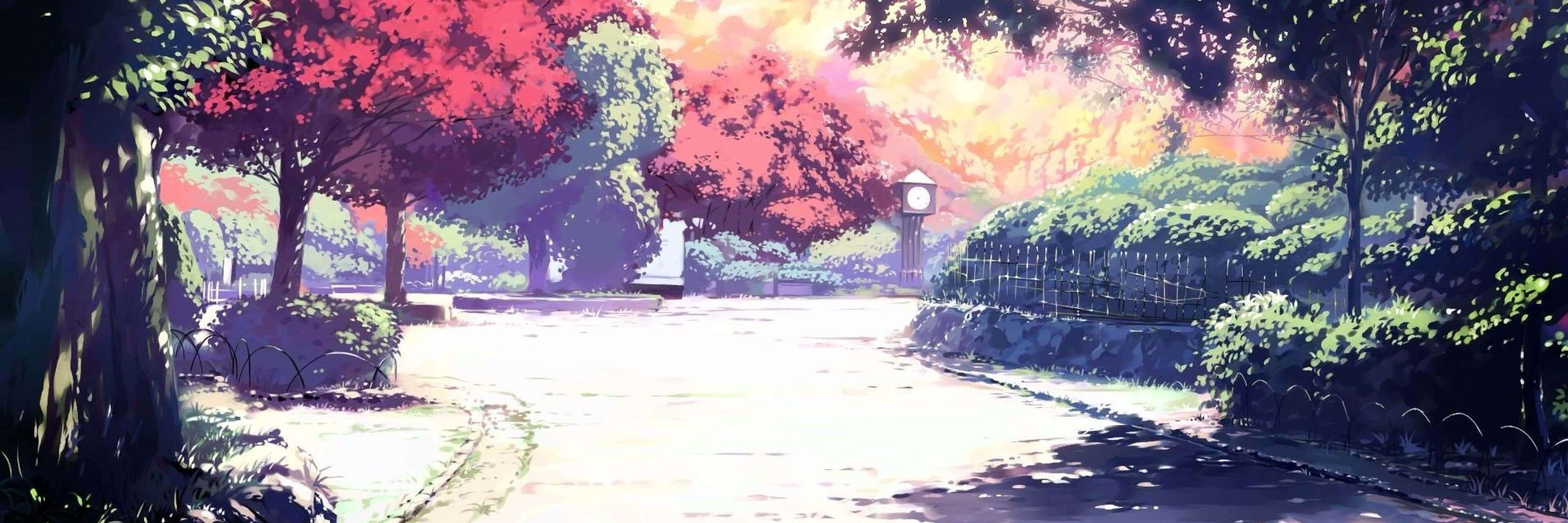 Maple
