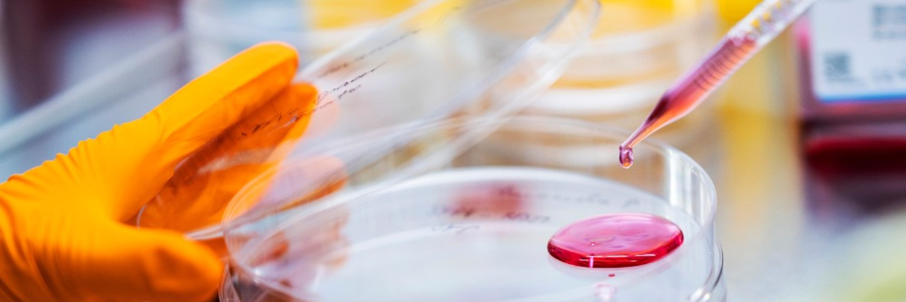 Lund Stem Cell Center