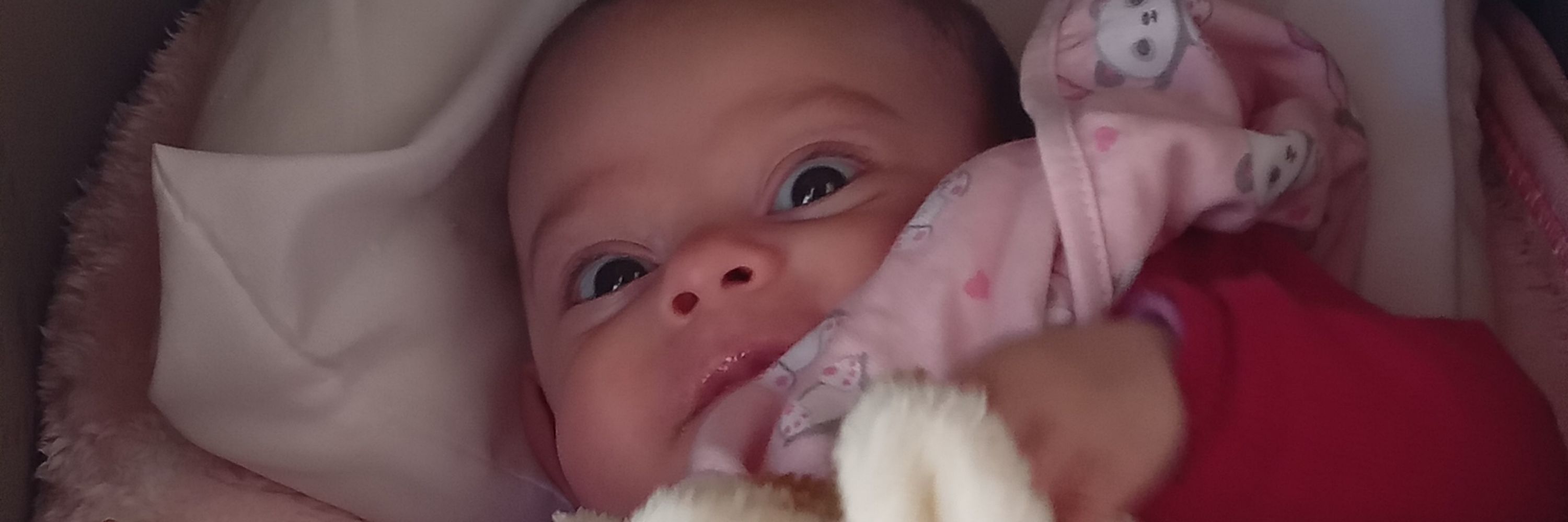 Maria luiza