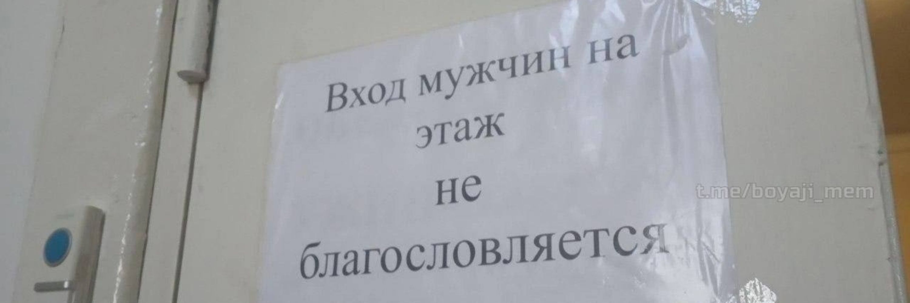 светочка 👽