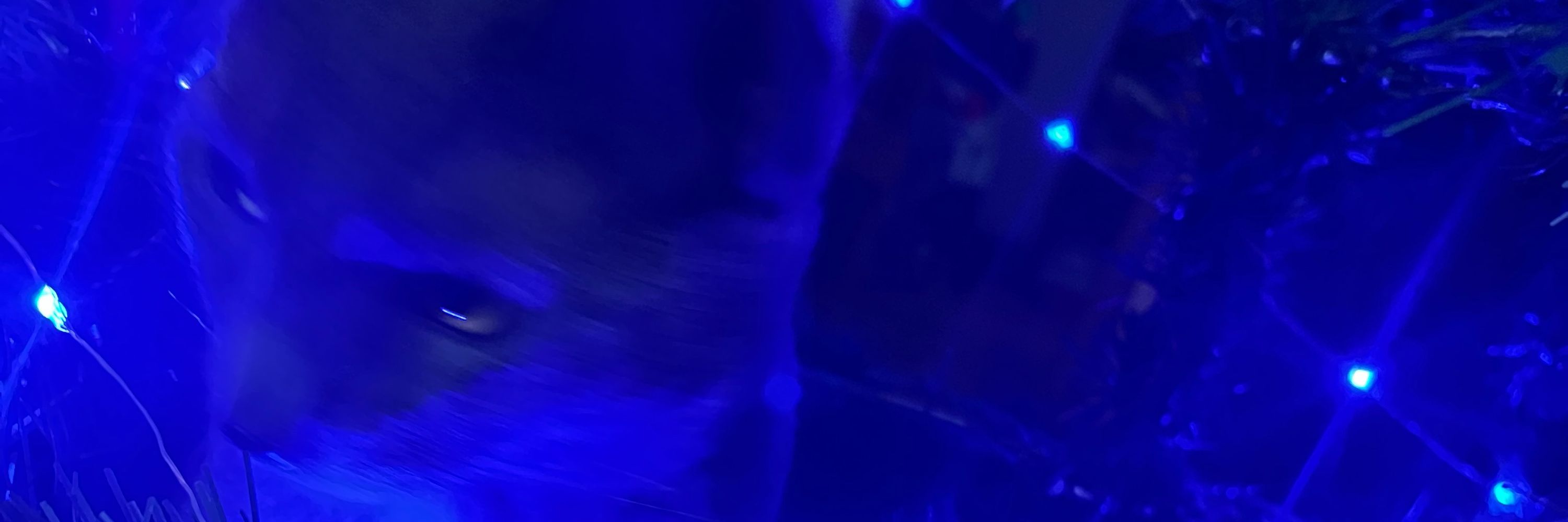 kristyn 🦋