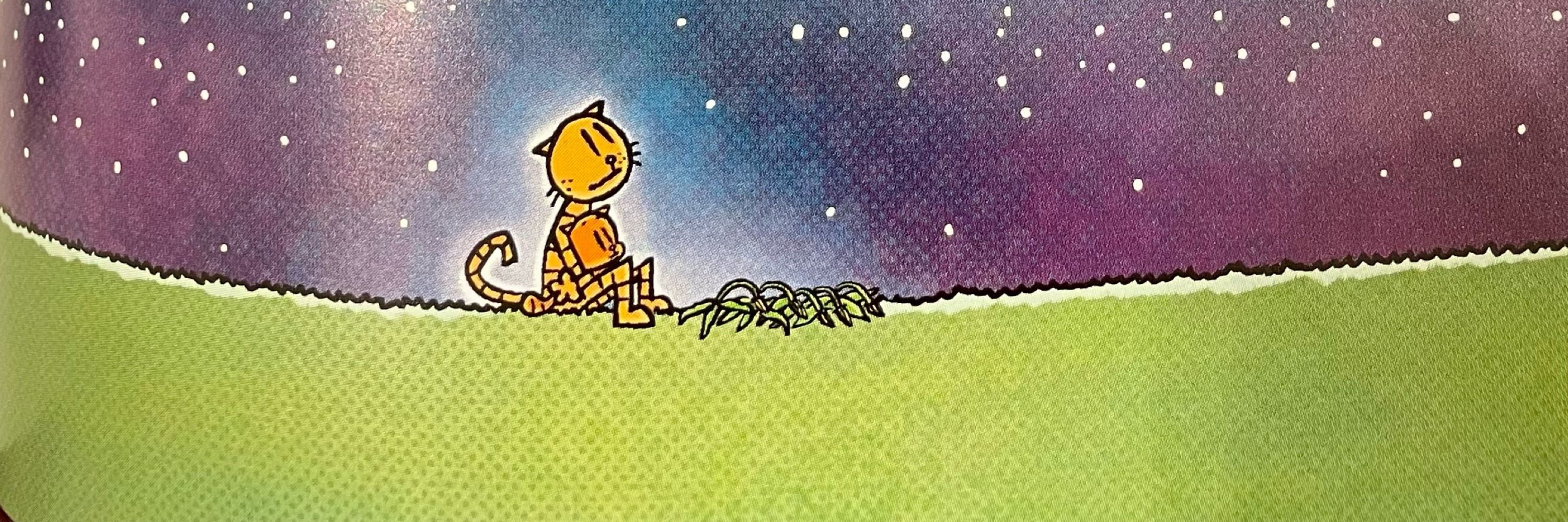 🛸