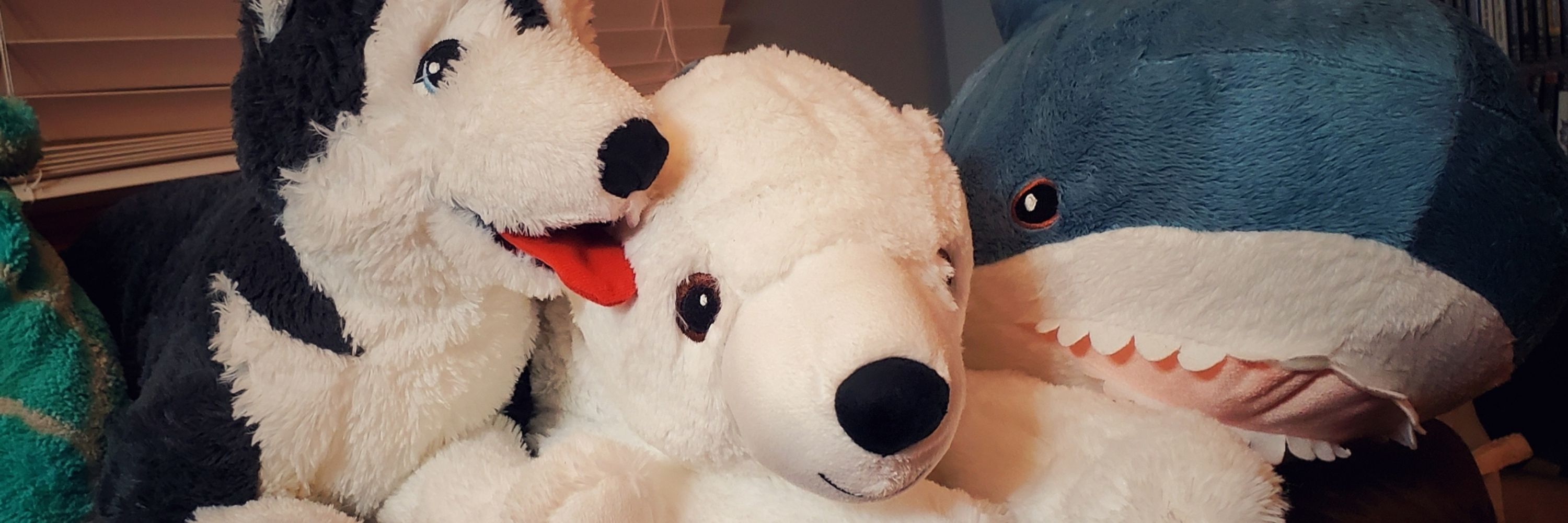 Bali the bear-nuki (formerly Digi)