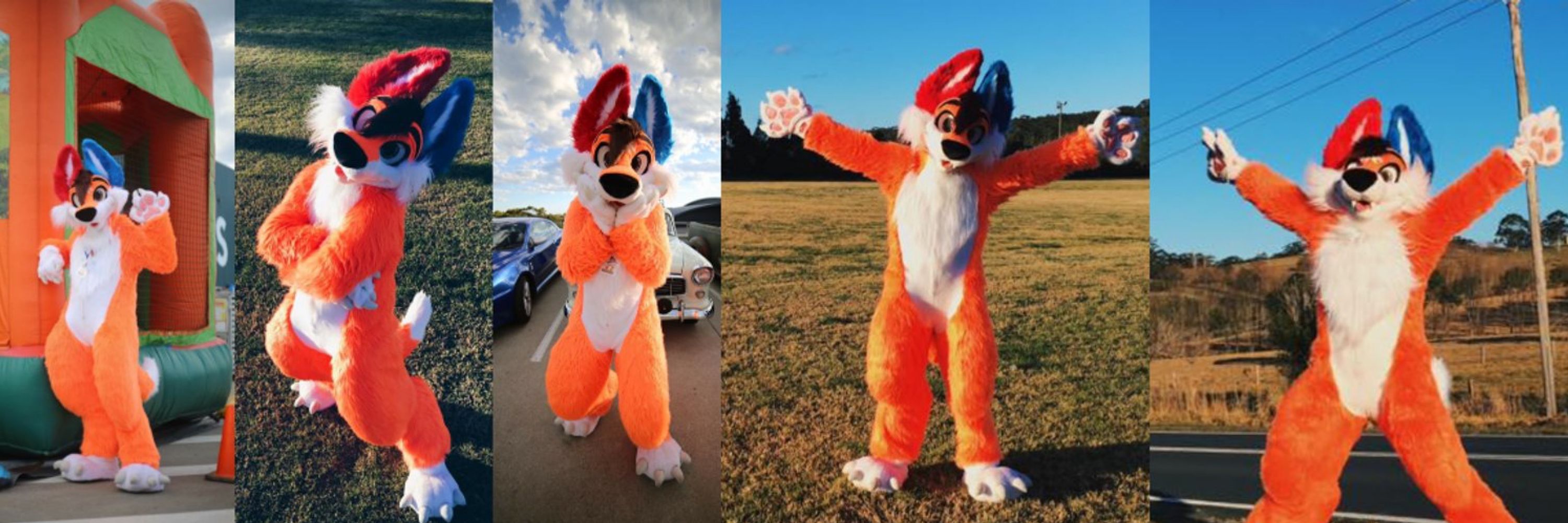 OzziFoxy