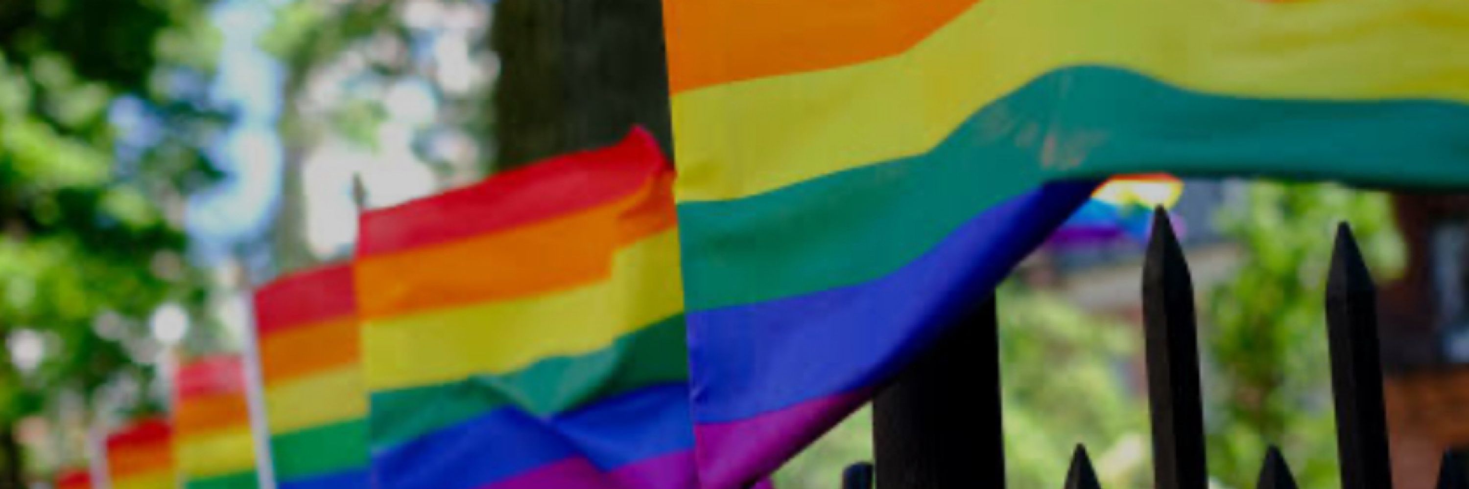 ReinadelSol🏳️‍🌈💙