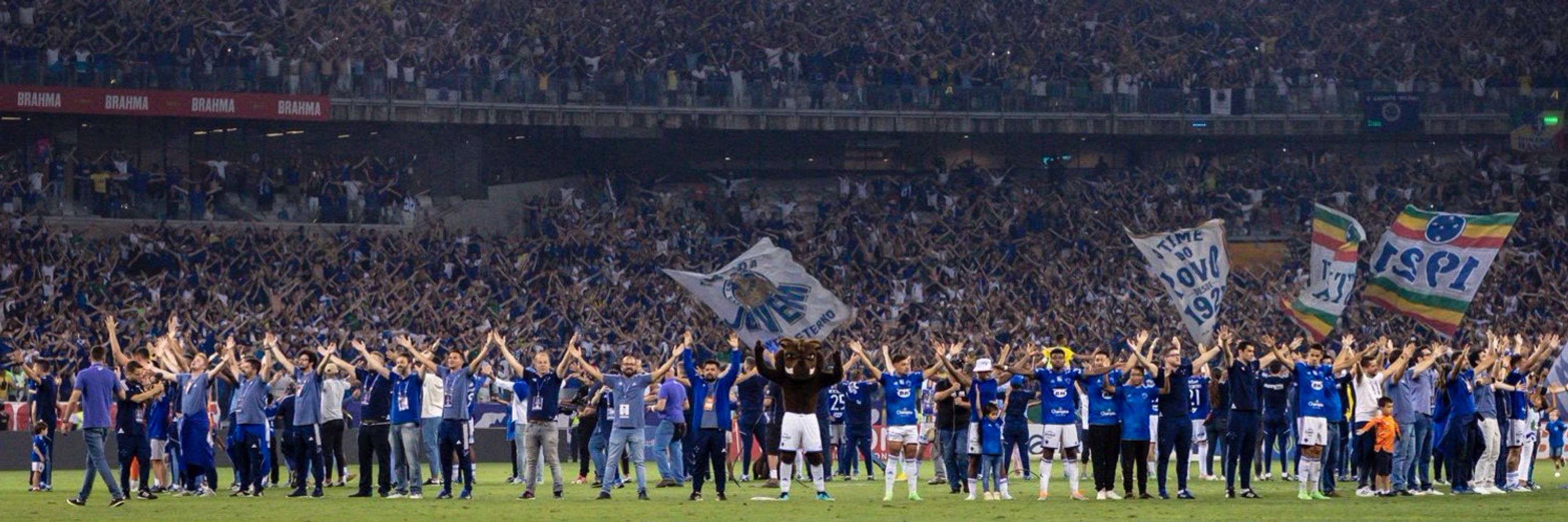 Robinho 🦊🔵⚪️