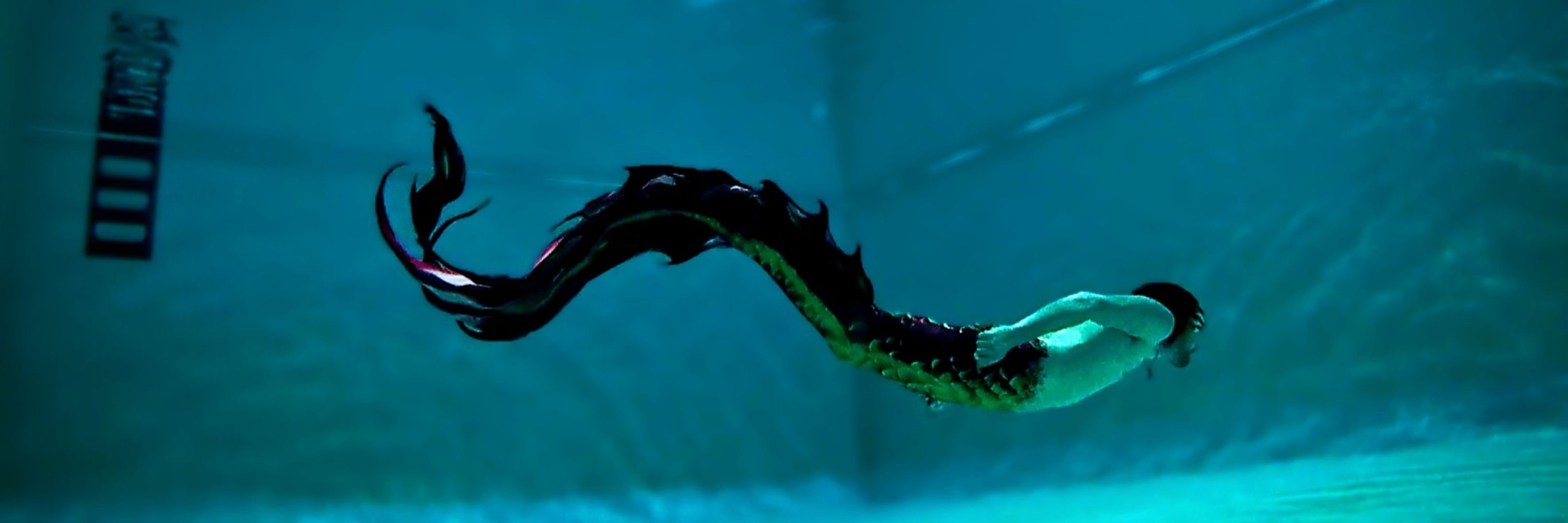 ShadowscaleSev