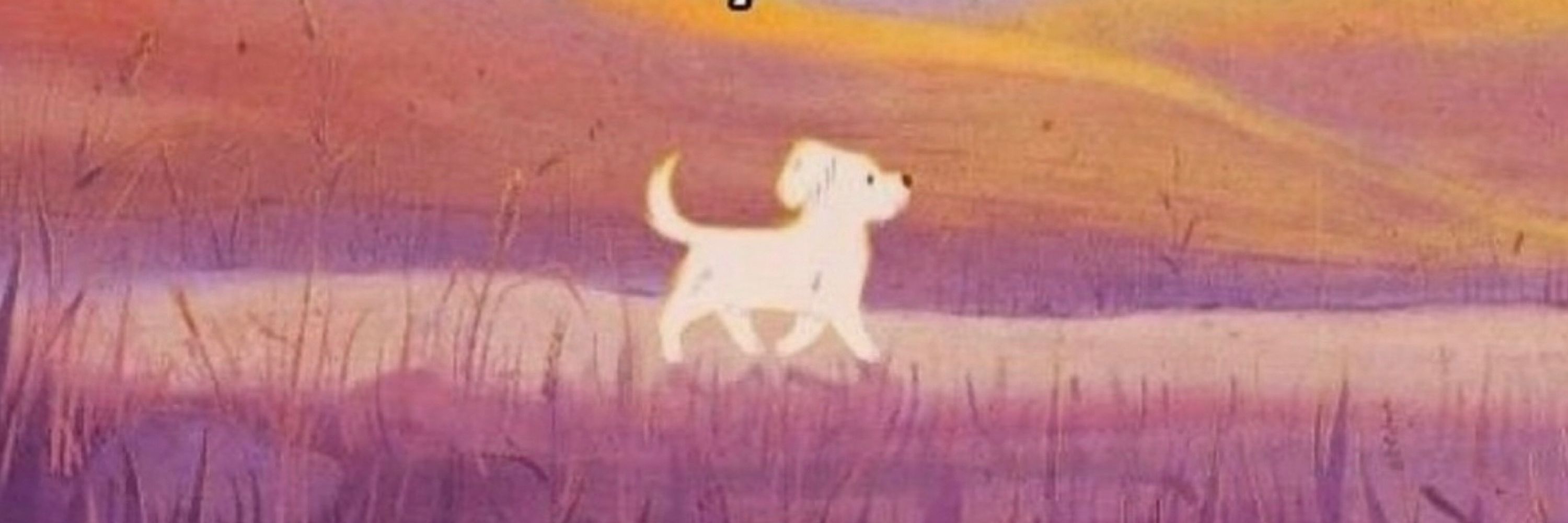  andré