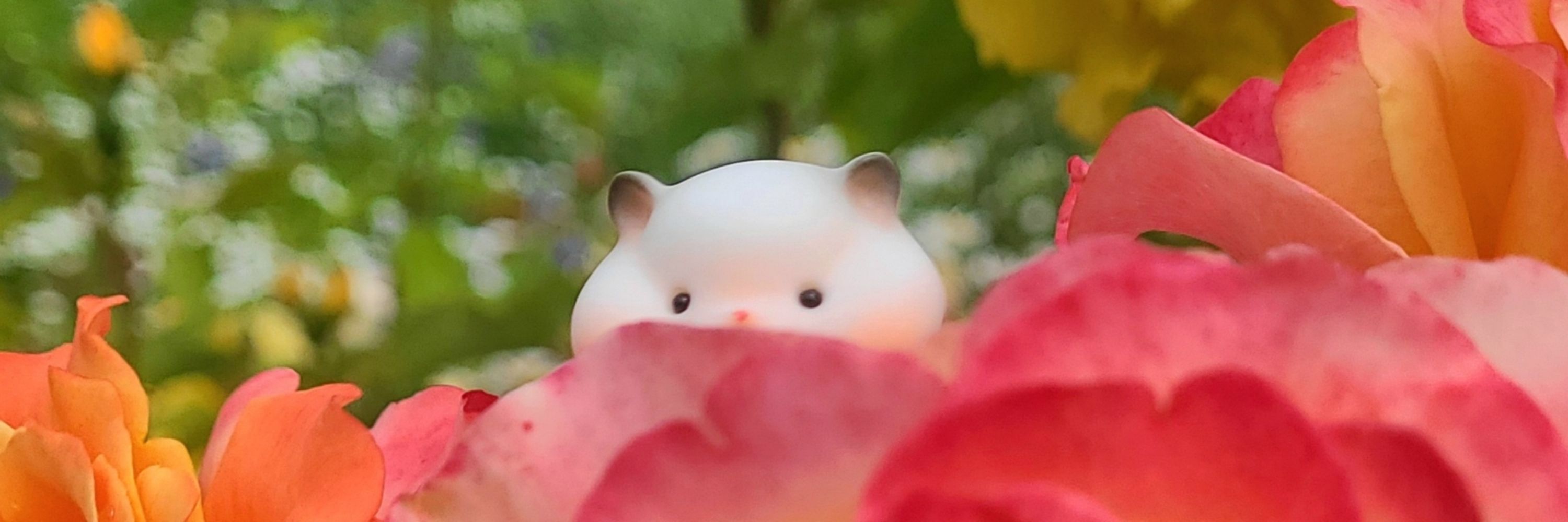 달향