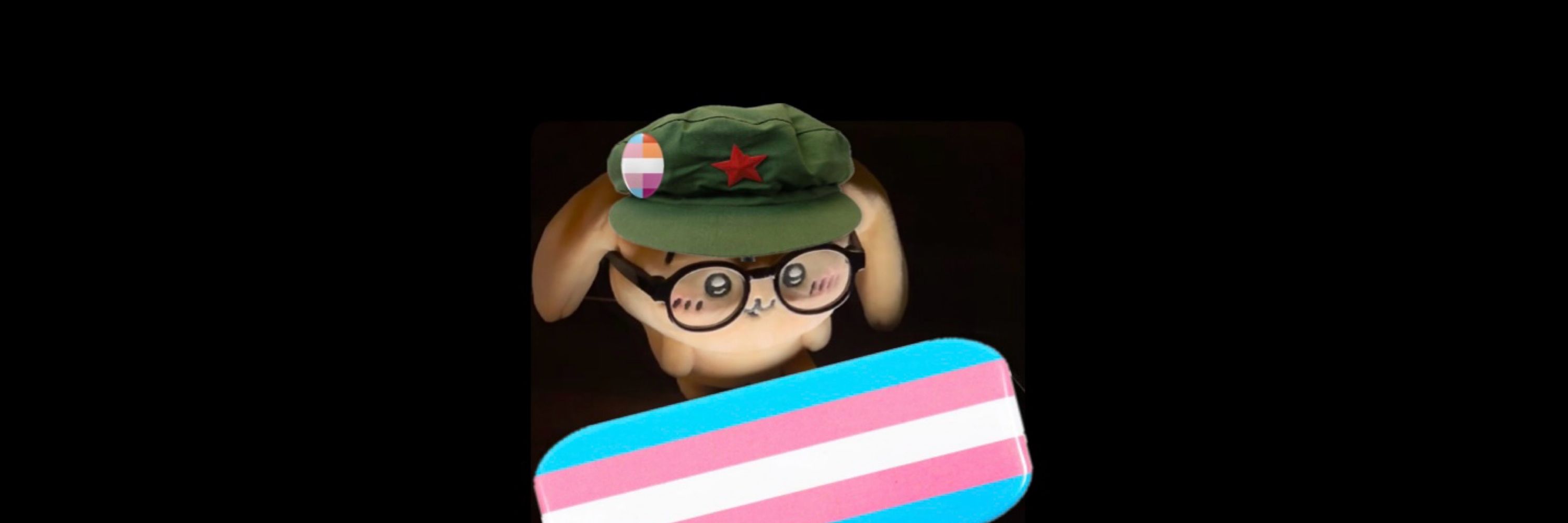 🏳️‍⚧️BaristaBunny🐰