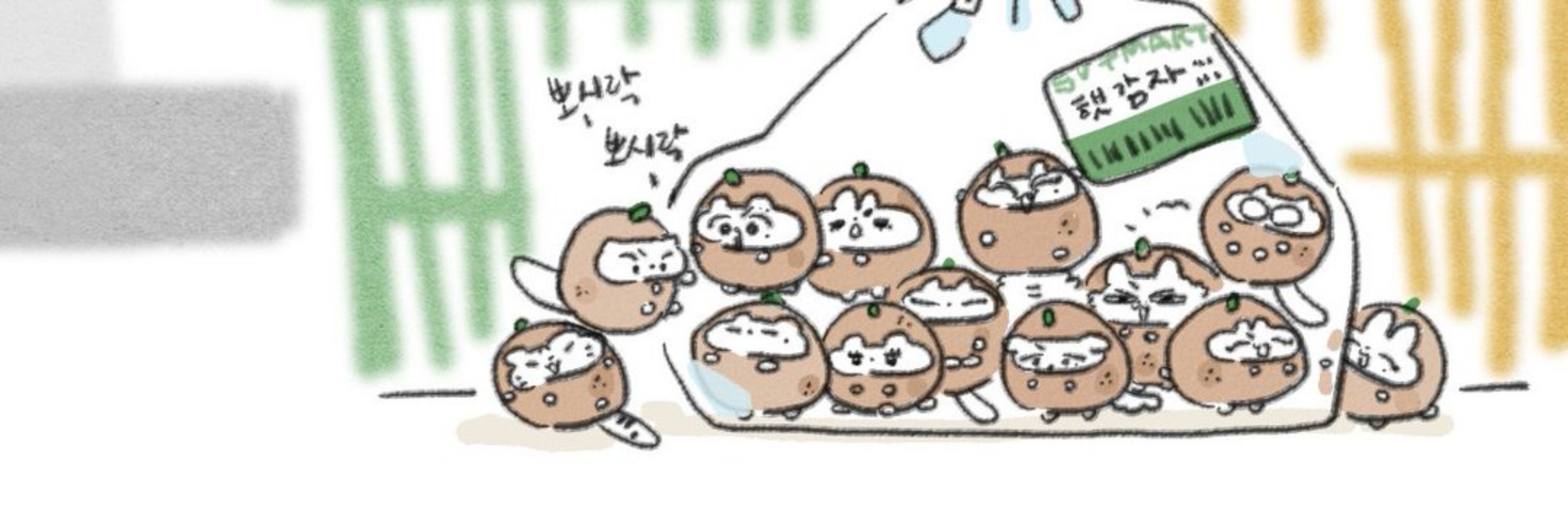 쩨비