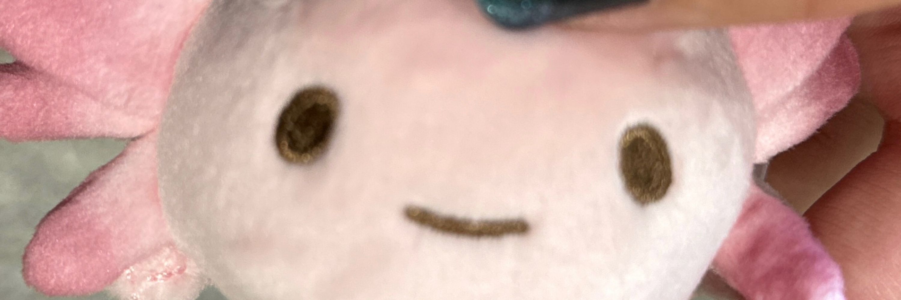 むす🍙