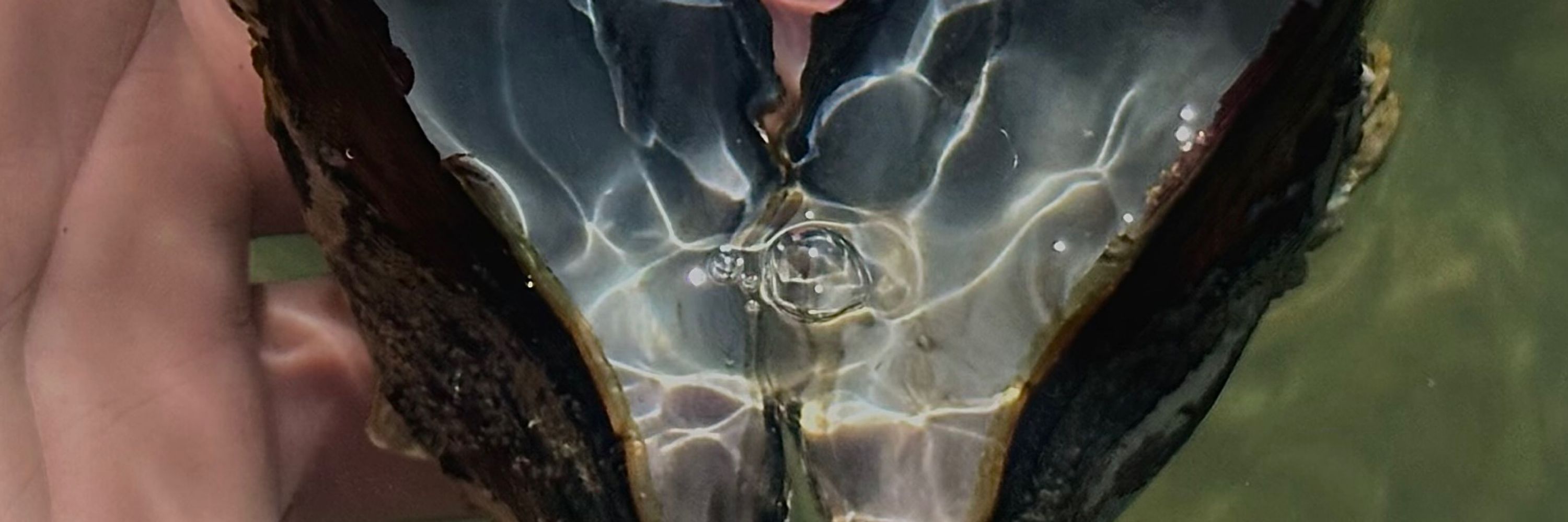 Rivulet Dzidra Ostara