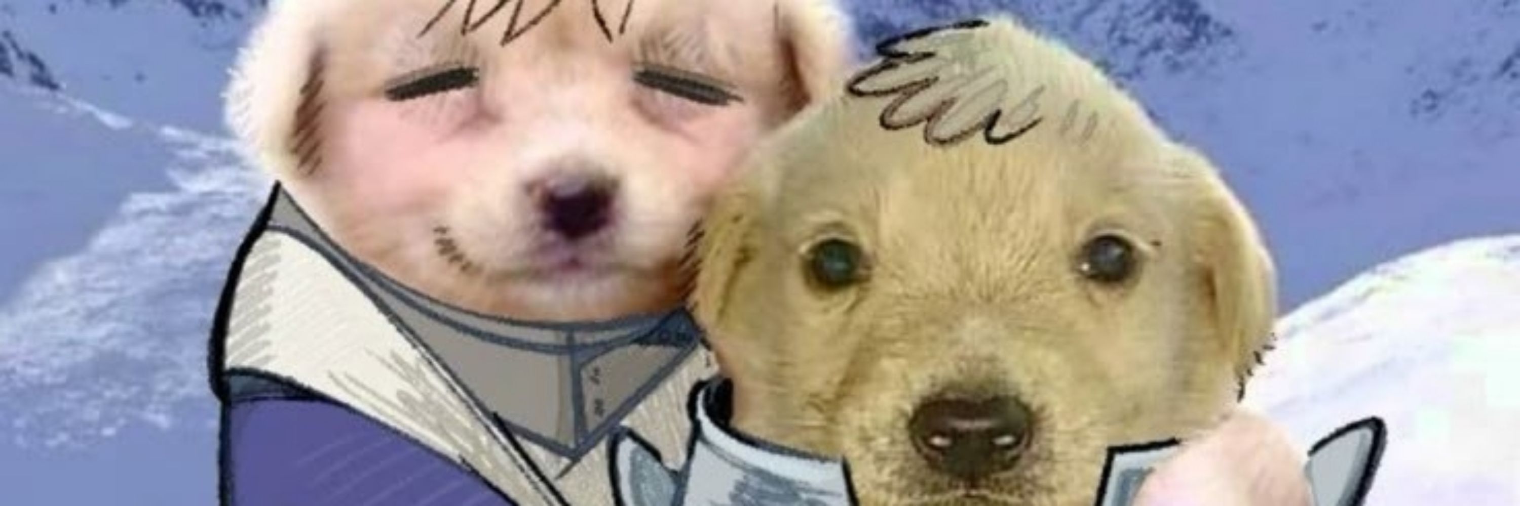 ⠀⠀✿ ━┈ vivi .ᐟ