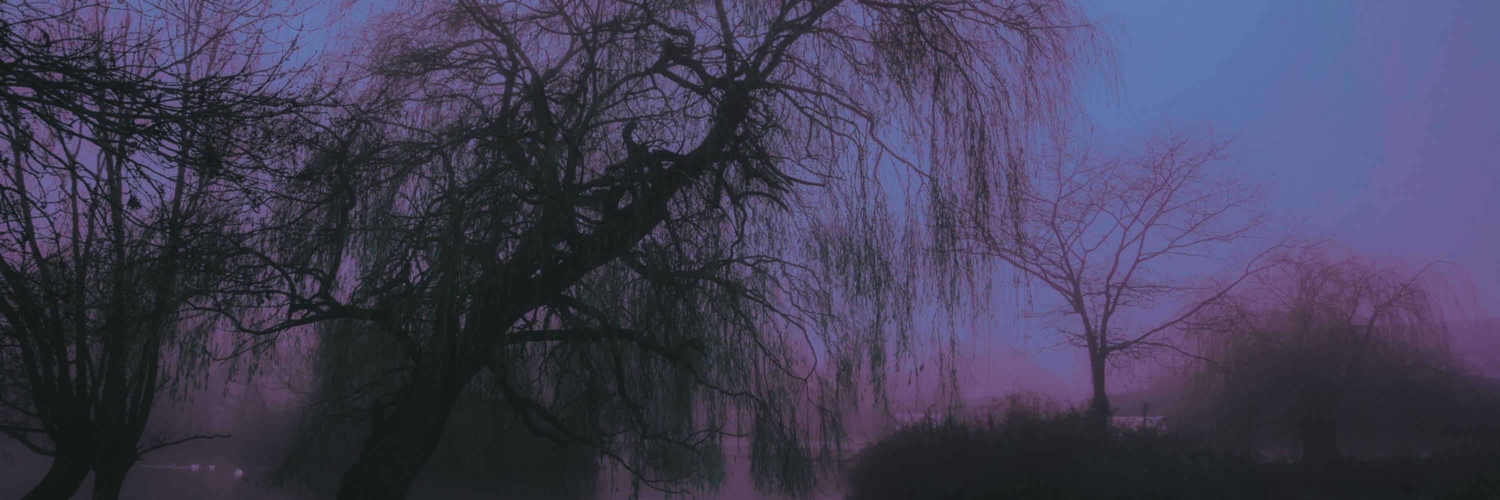 𝙴𝚡𝚚𝚞𝚒𝚜𝚒𝚝𝚎𝙲𝚘𝚛𝚙𝚜𝚎𝙺𝚊𝚗𝚍𝚒🏳️‍⚧️🦇🍭