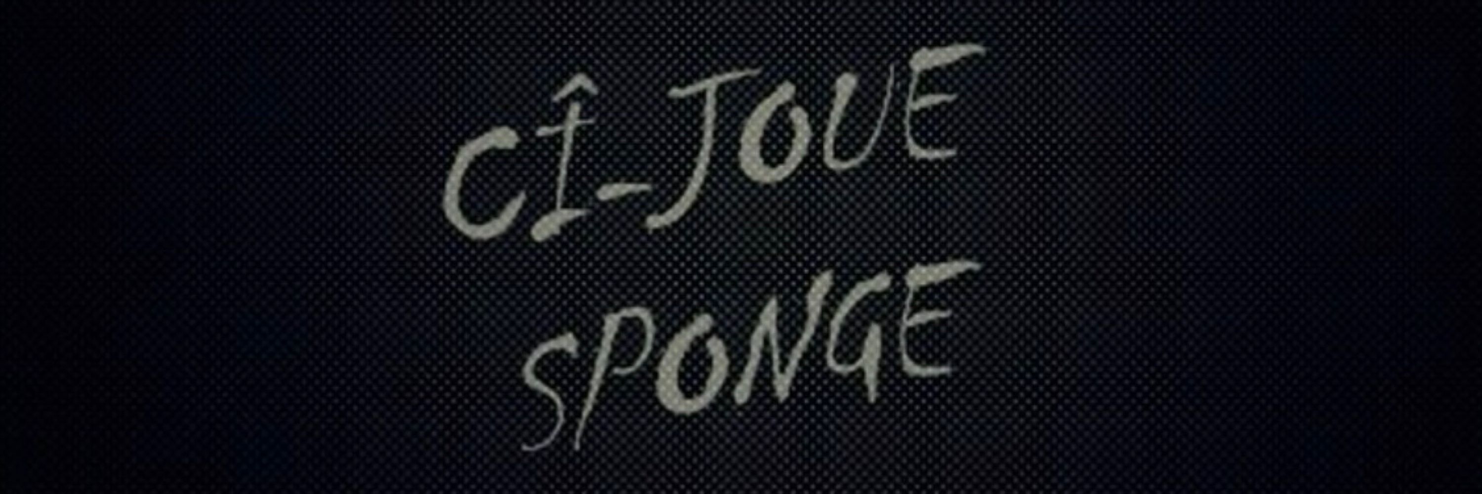 Sponge