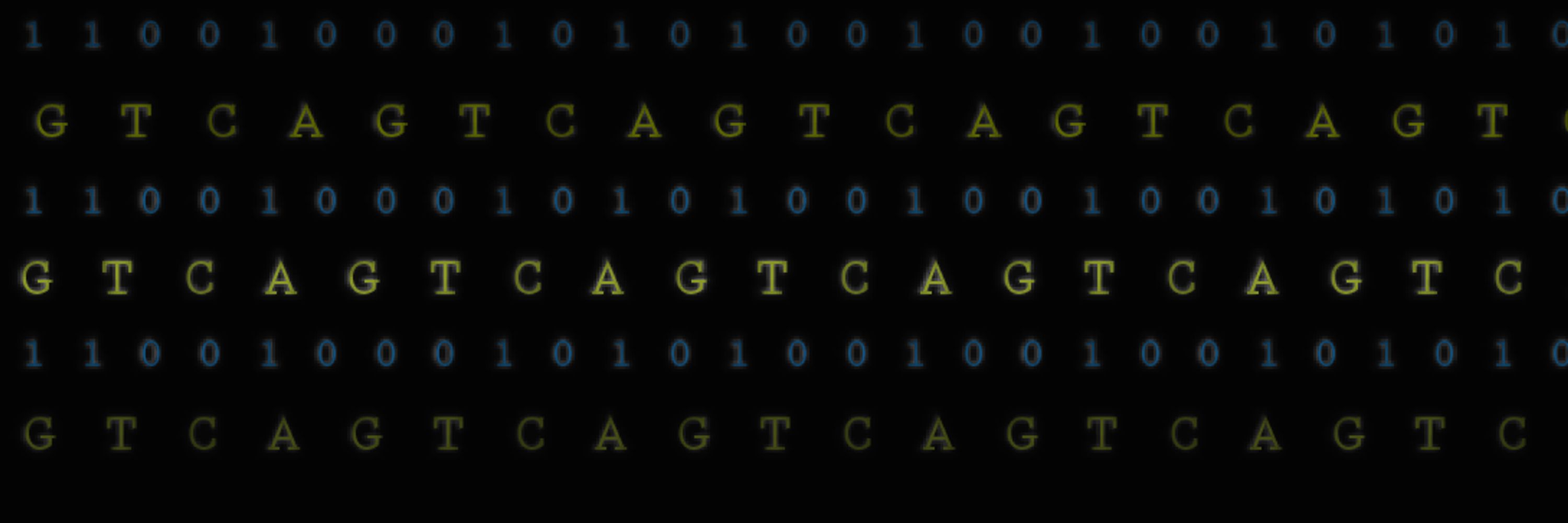 ENIGMA Consortium