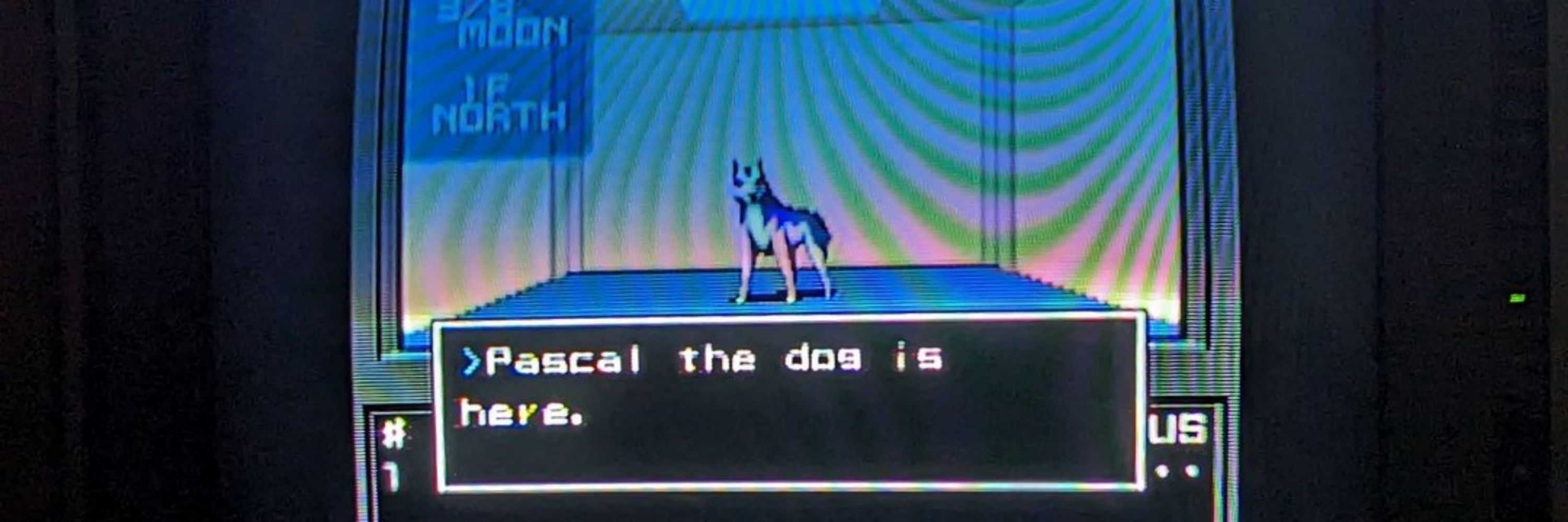 🦴『D e m i デミ』🦴