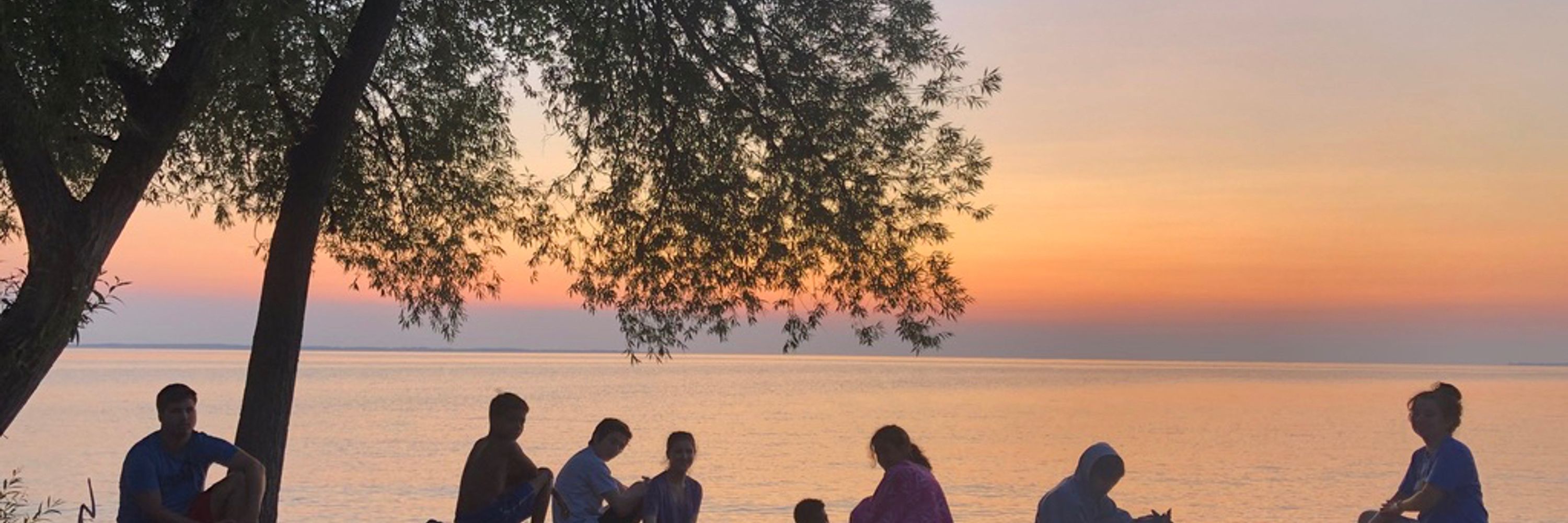 Finger Lakes New Yorker