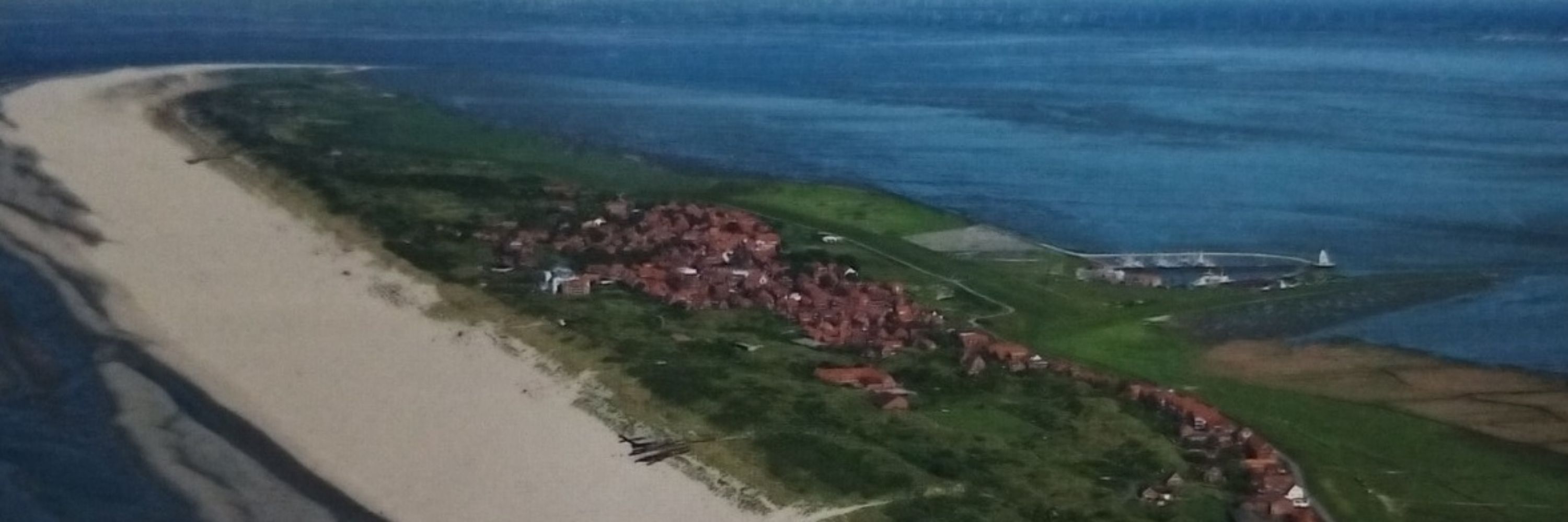 Löwenstern💫