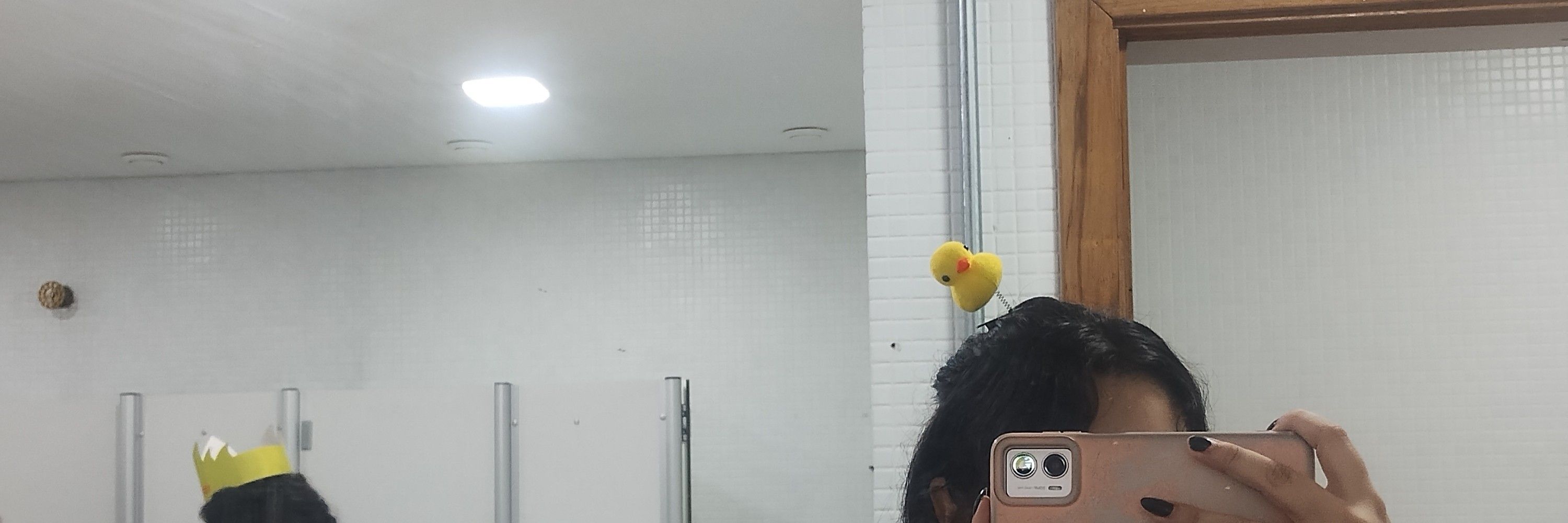 mimicaa