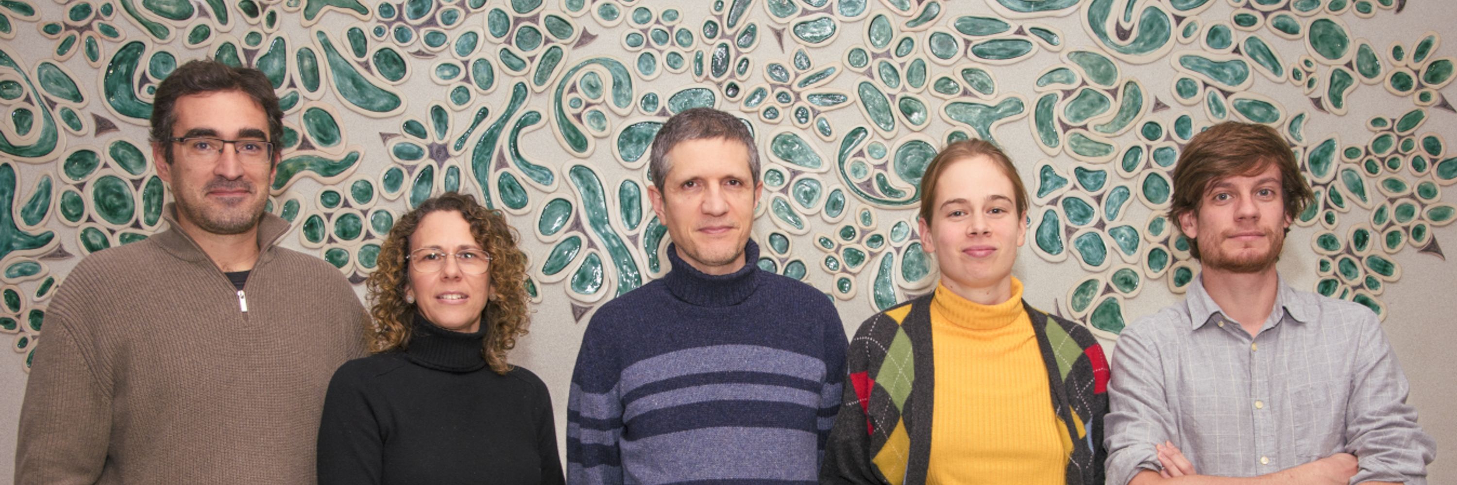 Tornero Lab