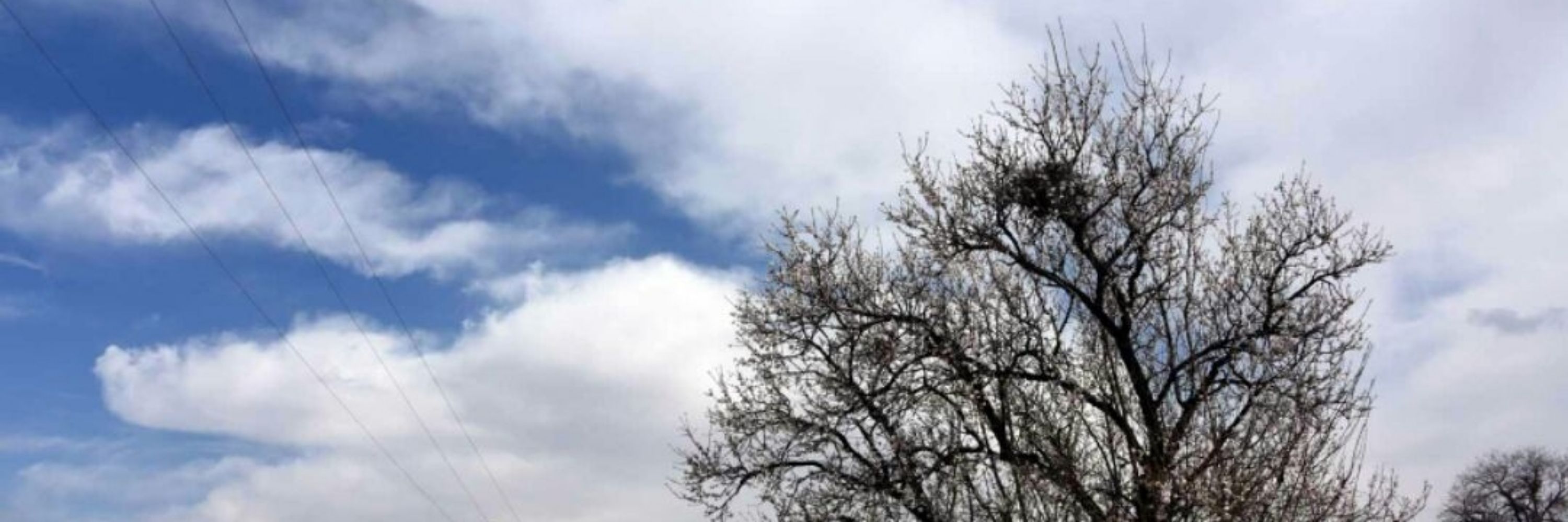 مهدی قمصری زاده 