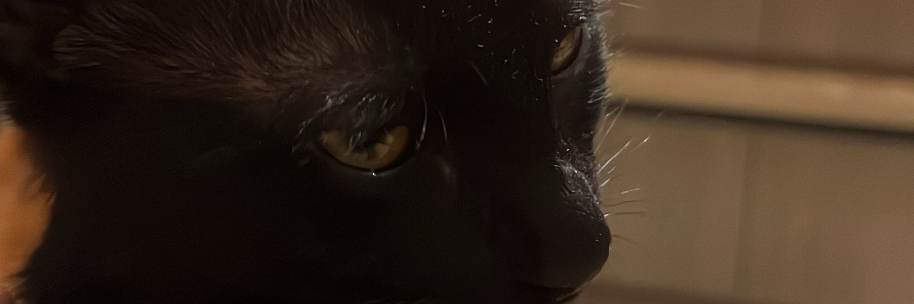 Perdida na personagem 