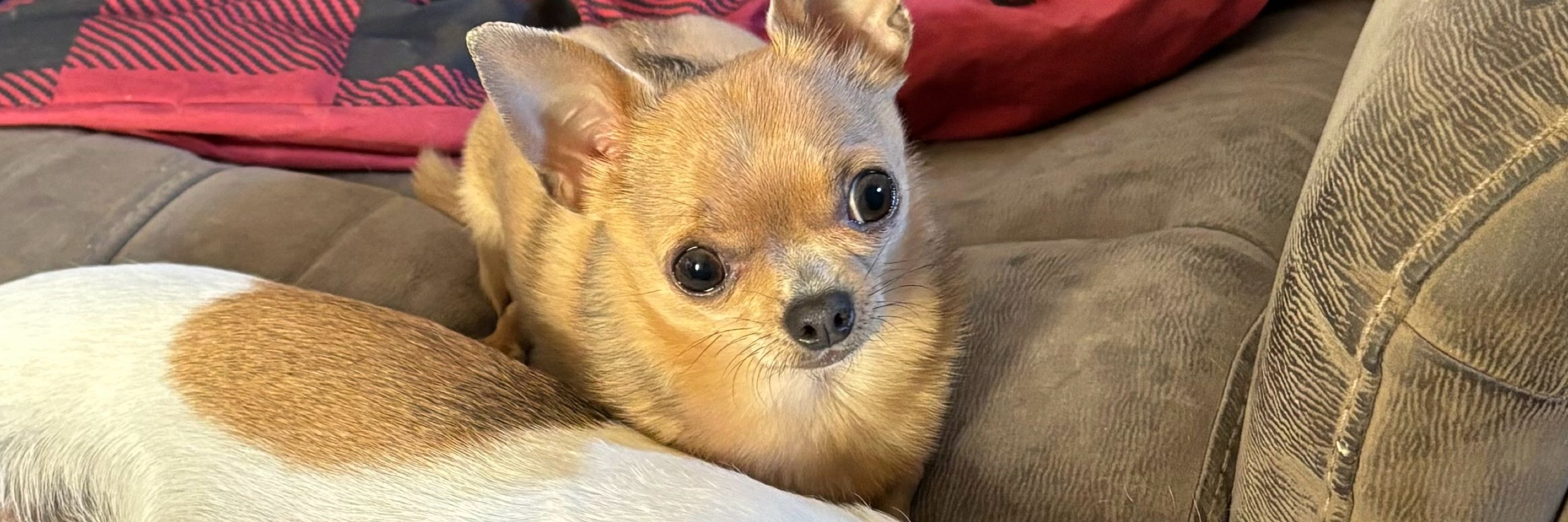 Hazel and Winnie