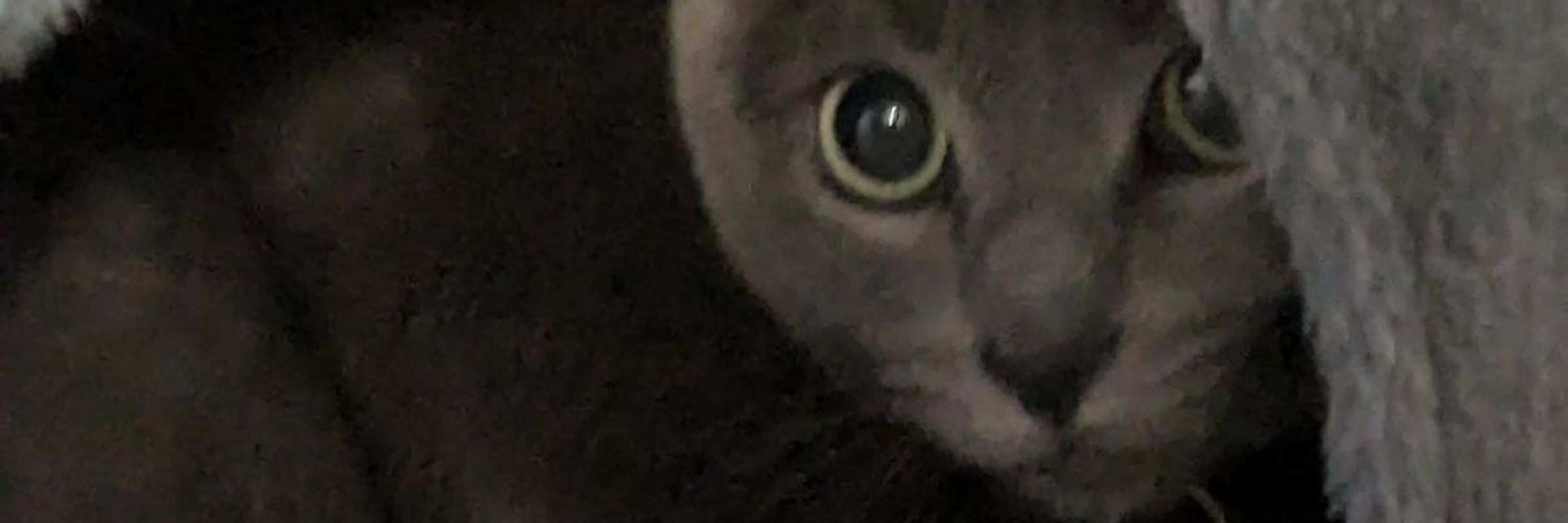 Cal